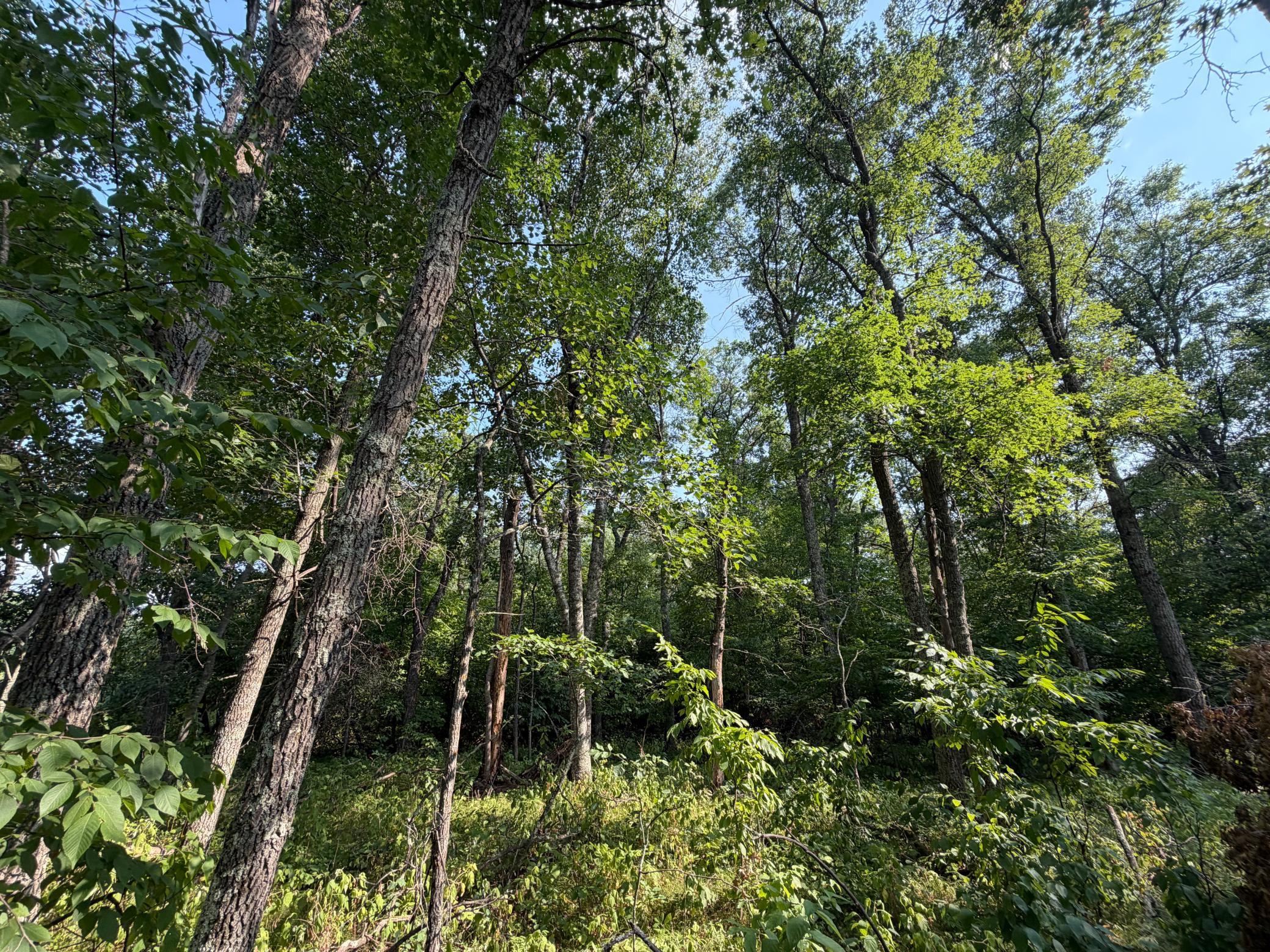View of Land at TBD Pawnee Circle, Breezy Point MN 56472, Breezy Point (2 of 13) - Mike Wilen | Minnesota Team Real Estate