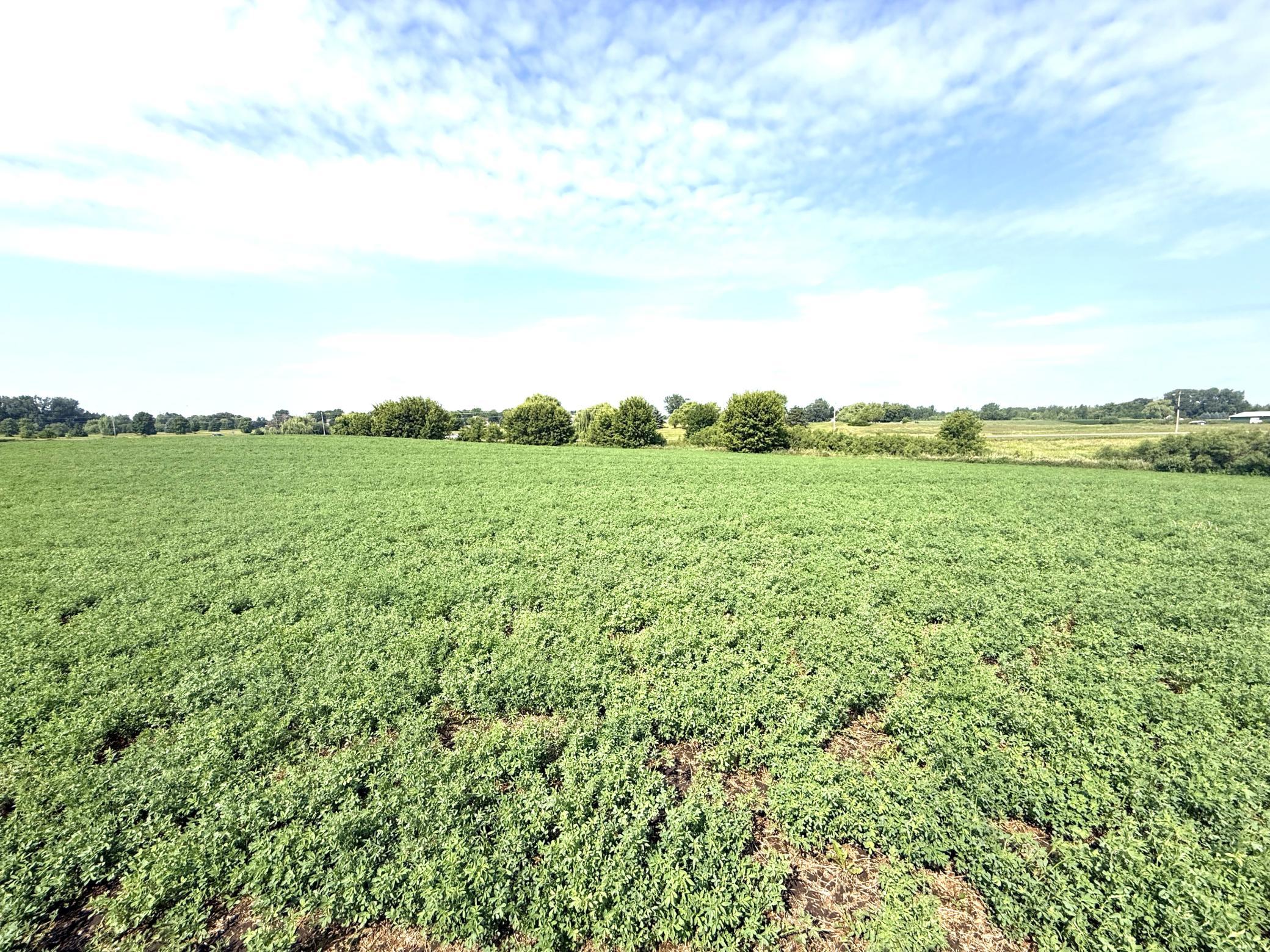 View of Land at TBD County Road 7, Howard Lake MN 55349, Howard Lake (15 of 15) - Mike Wilen | Minnesota Team Real Estate