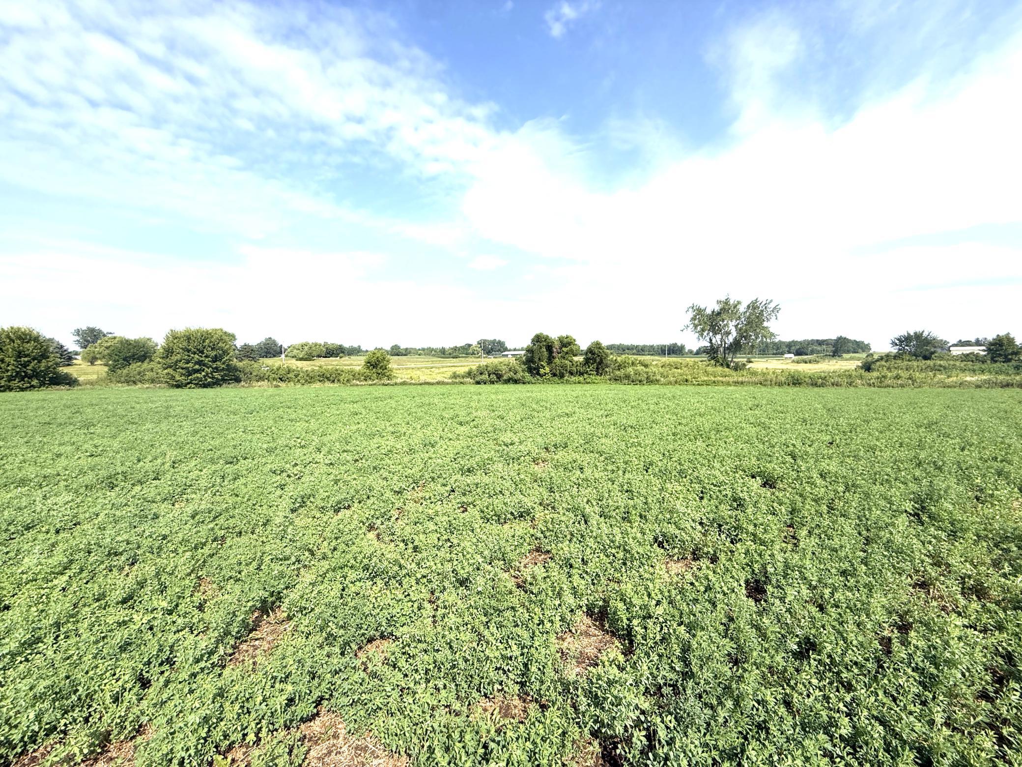 View of Land at TBD County Road 7, Howard Lake MN 55349, Howard Lake (14 of 15) - Mike Wilen | Minnesota Team Real Estate