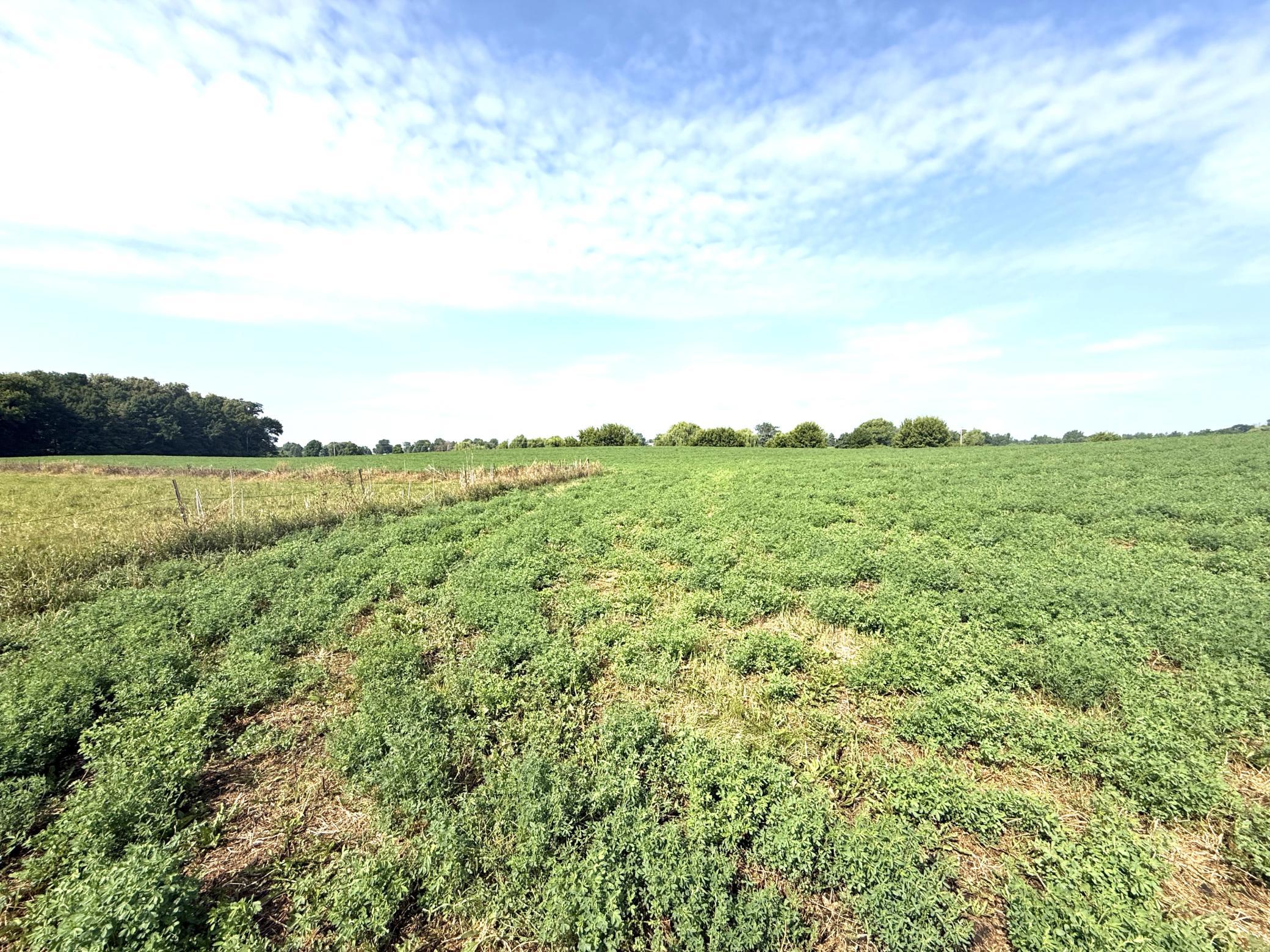 View of Land at TBD County Road 7, Howard Lake MN 55349, Howard Lake (13 of 15) - Mike Wilen | Minnesota Team Real Estate