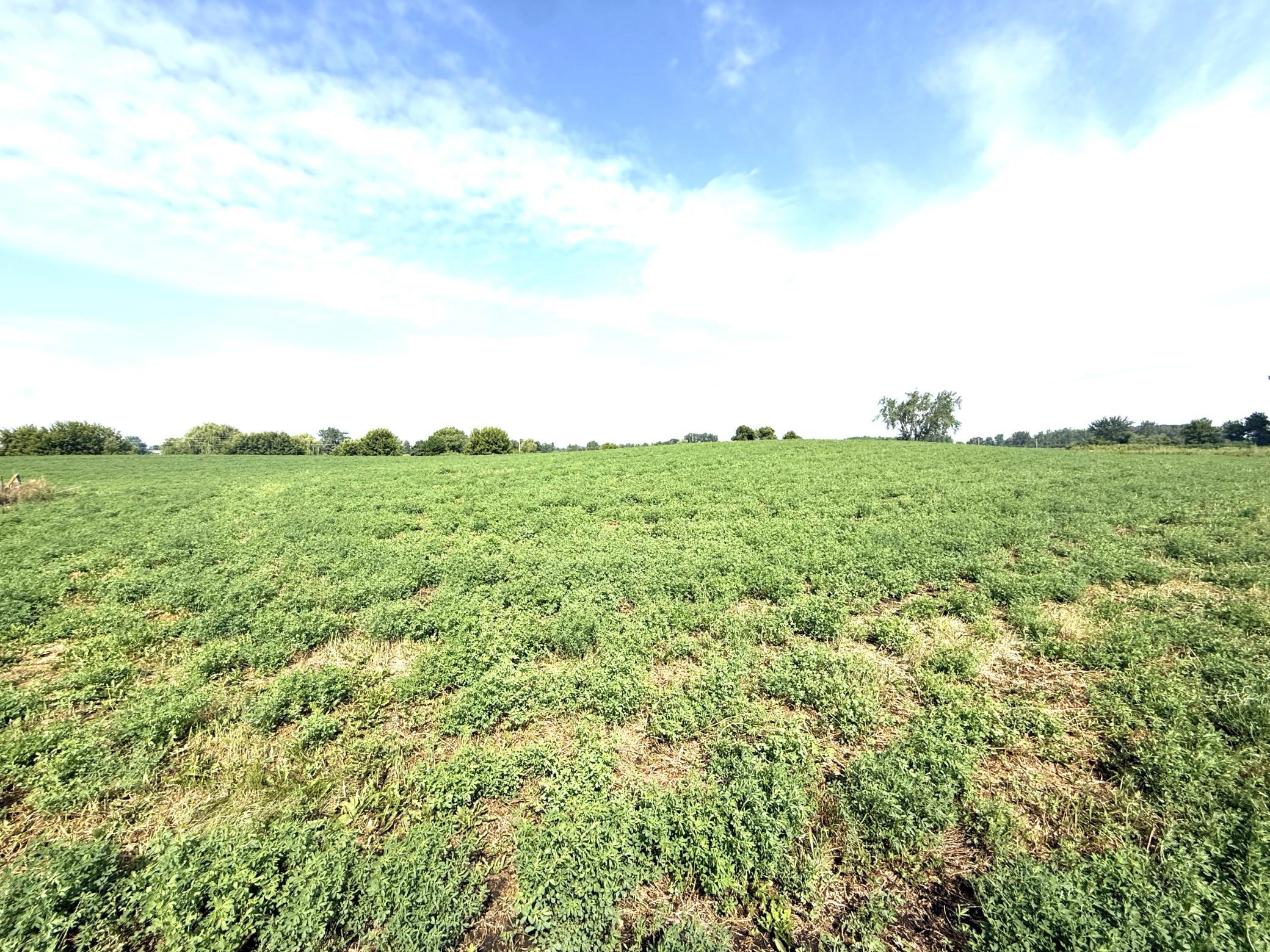 View of Land at TBD County Road 7, Howard Lake MN 55349, Howard Lake (12 of 15) - Mike Wilen | Minnesota Team Real Estate