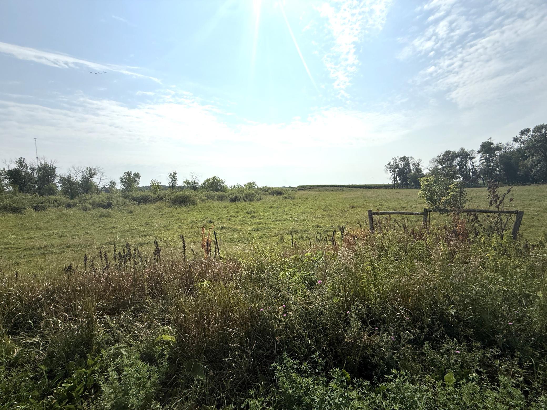 View of Land at TBD County Road 7, Howard Lake MN 55349, Howard Lake (11 of 15) - Mike Wilen | Minnesota Team Real Estate