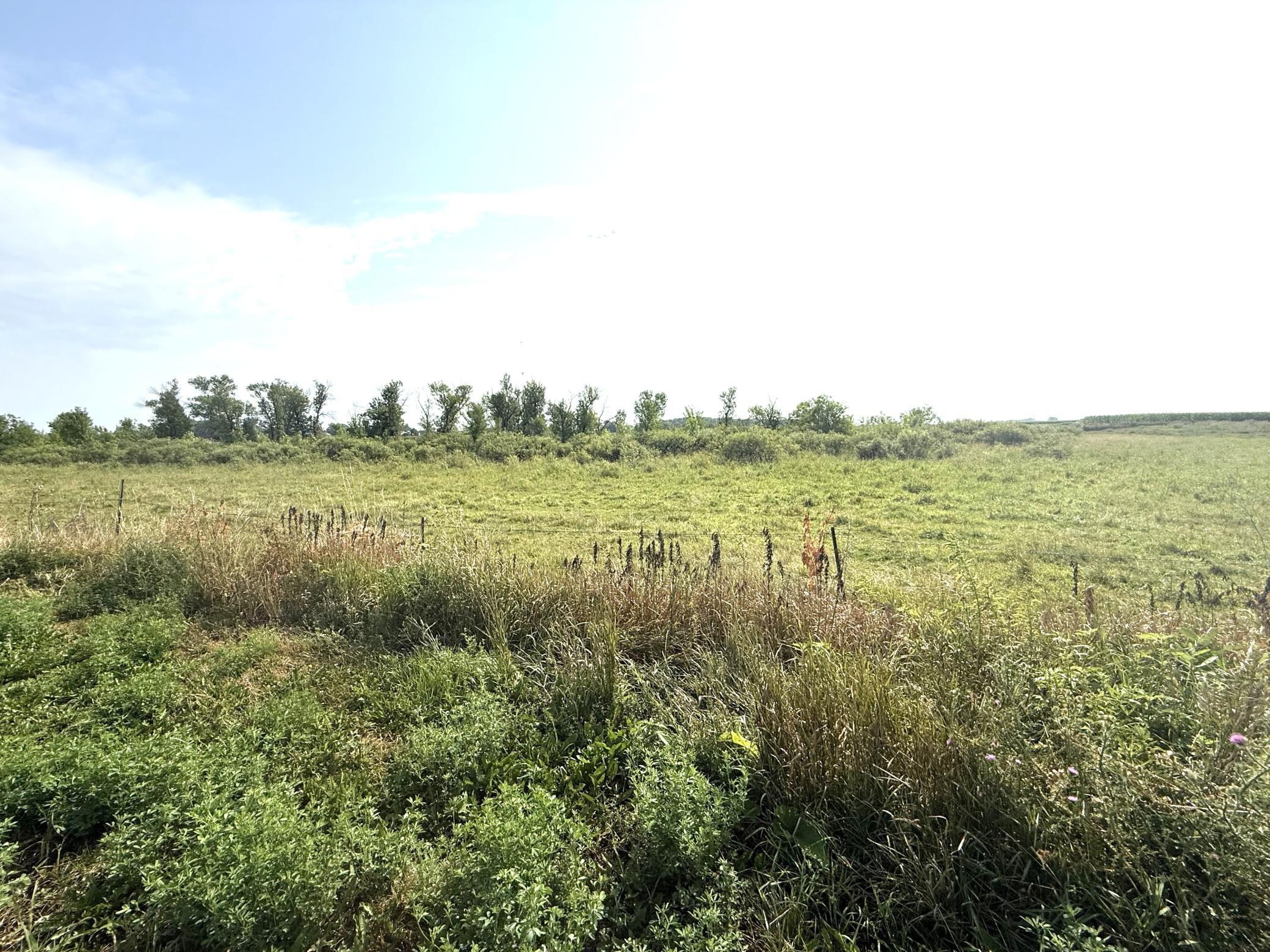 View of Land at TBD County Road 7, Howard Lake MN 55349, Howard Lake (10 of 15) - Mike Wilen | Minnesota Team Real Estate