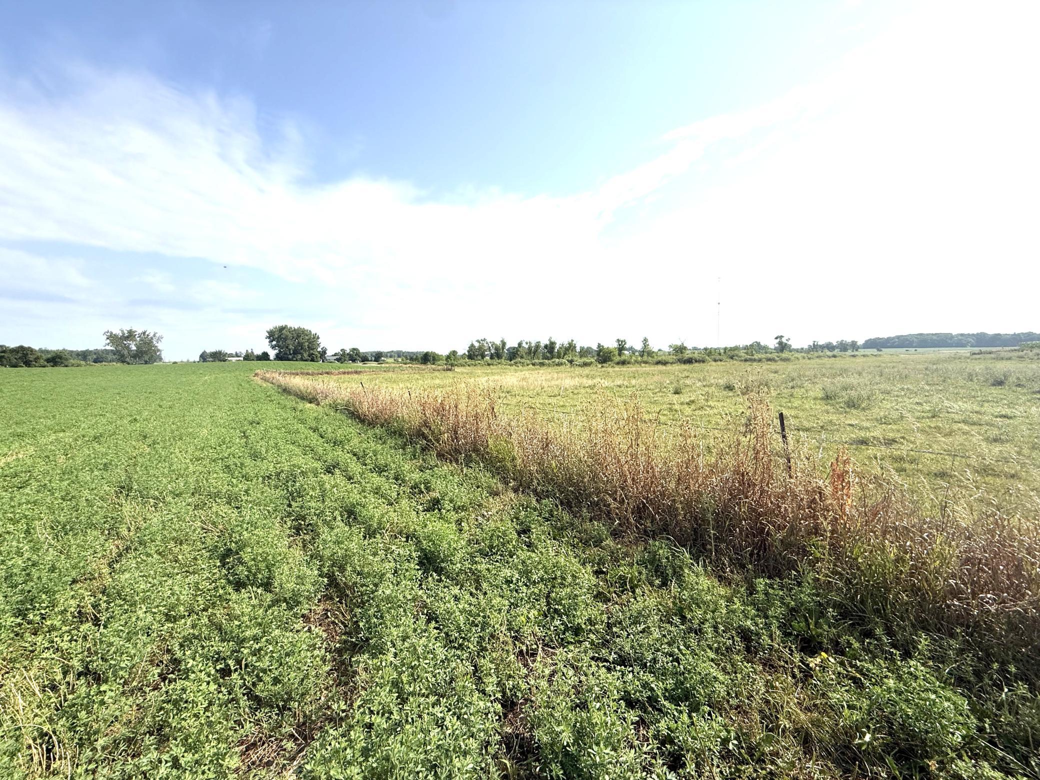 View of Land at TBD County Road 7, Howard Lake MN 55349, Howard Lake (8 of 15) - Mike Wilen | Minnesota Team Real Estate