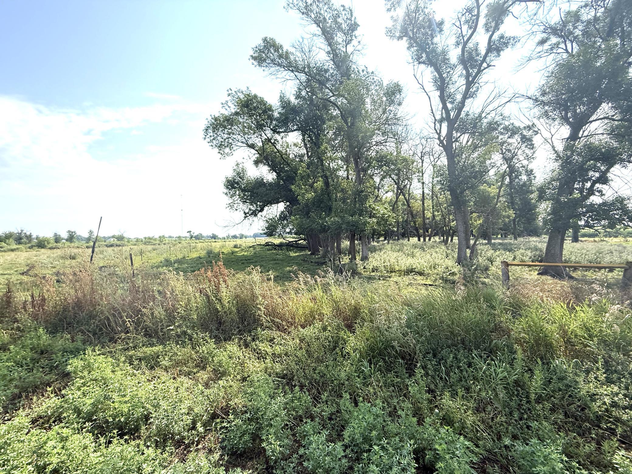 View of Land at TBD County Road 7, Howard Lake MN 55349, Howard Lake (6 of 15) - Mike Wilen | Minnesota Team Real Estate