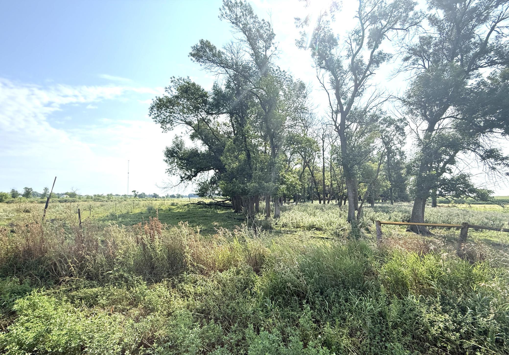 View of Land at TBD County Road 7, Howard Lake MN 55349, Howard Lake (5 of 15) - Mike Wilen | Minnesota Team Real Estate