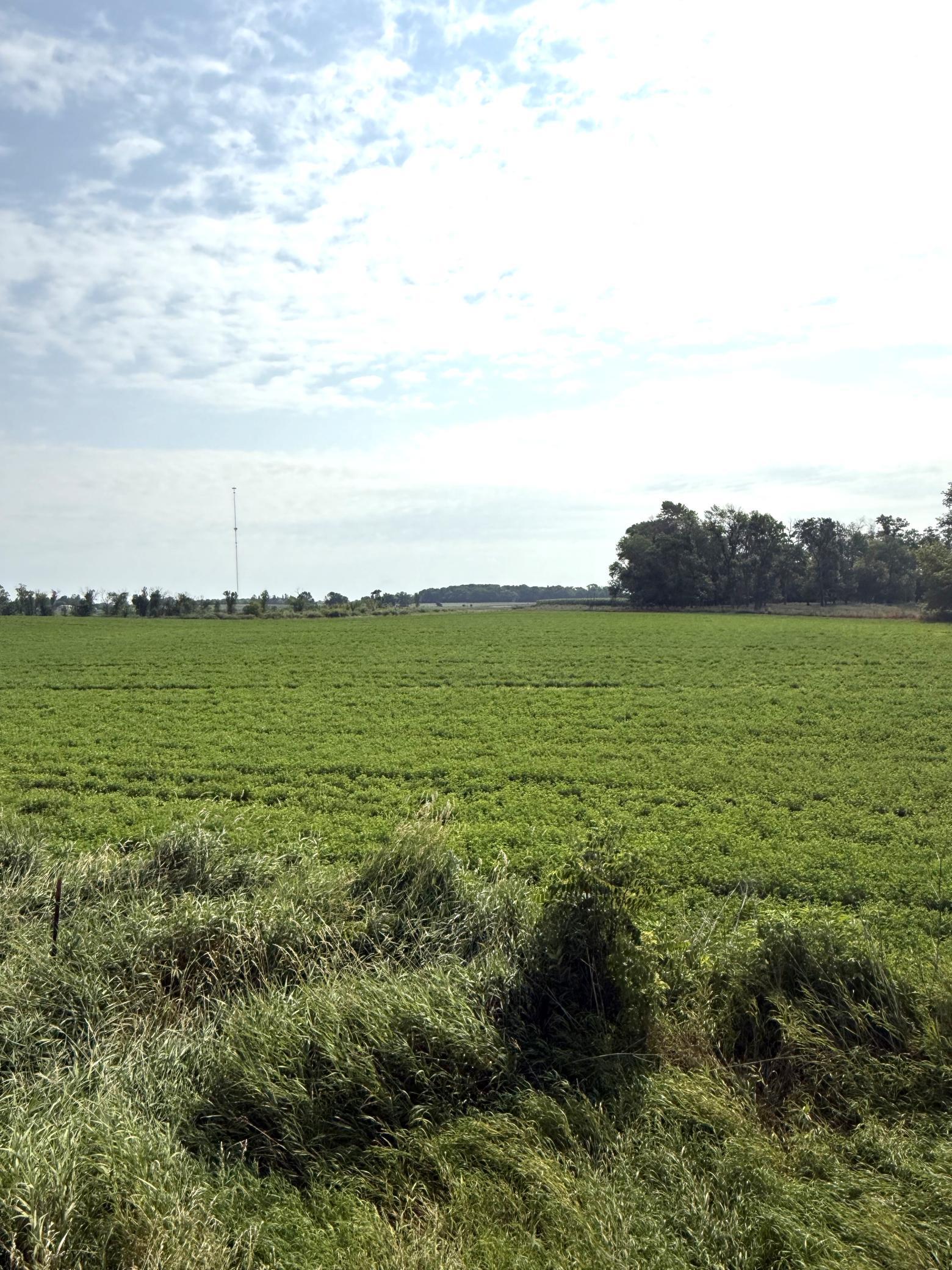 View of Land at TBD County Road 7, Howard Lake MN 55349, Howard Lake (2 of 15) - Mike Wilen | Minnesota Team Real Estate
