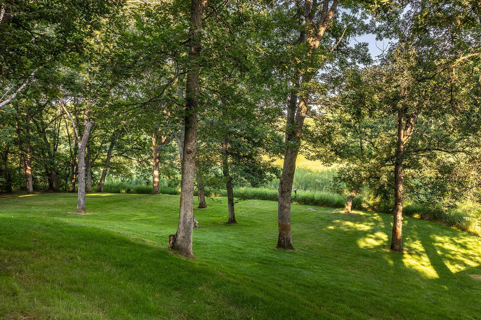 View of Residential at 21891 Wagon Wheel Trail, Lakeville MN 55044, Lakeville (15 of 49) - Mike Wilen | Minnesota Team Real Estate