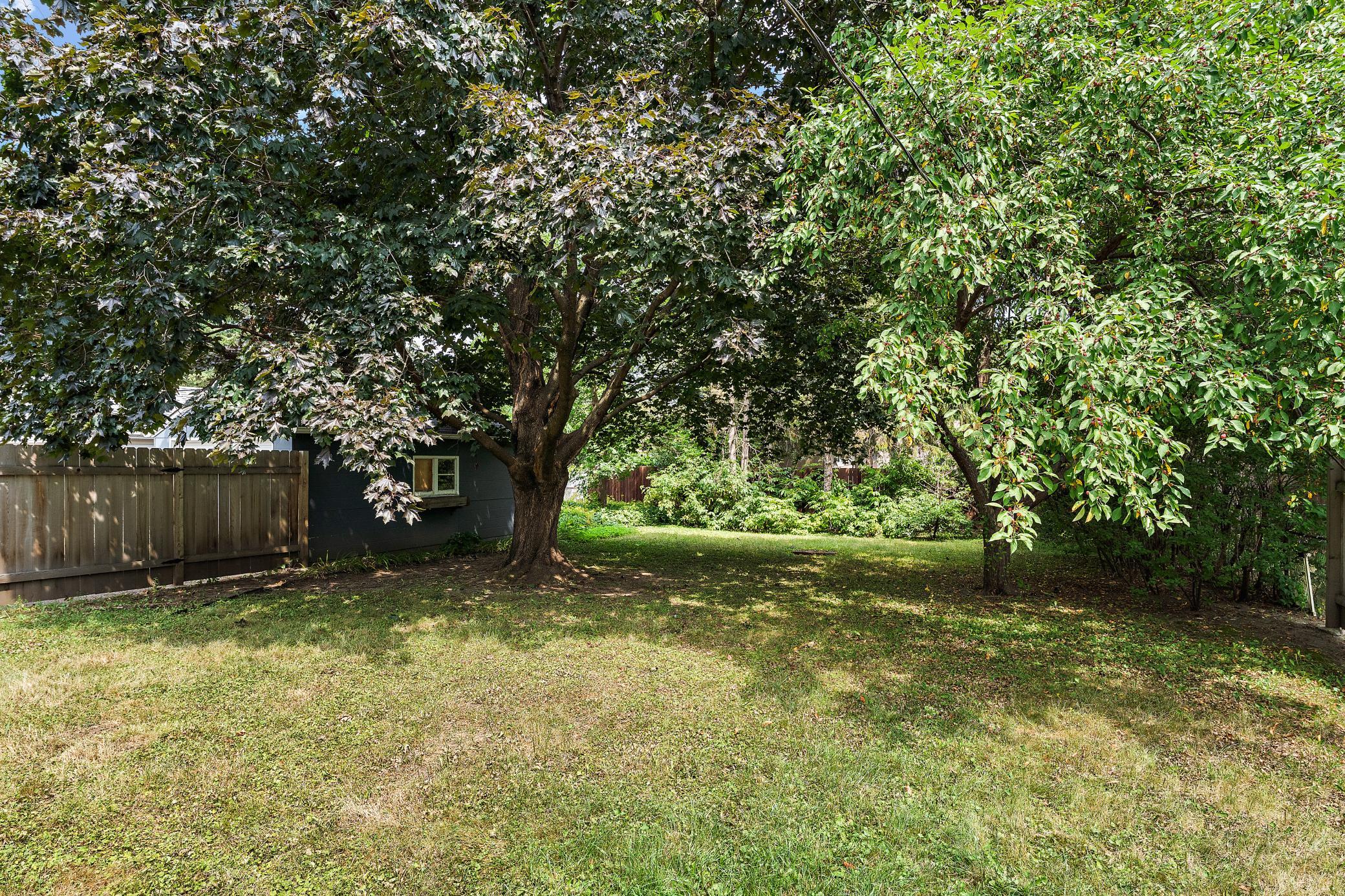 View of Residential at 738 22nd Avenue, South Saint Paul MN 55075, South Saint Paul (24 of 24) - Mike Wilen | Minnesota Team Real Estate
