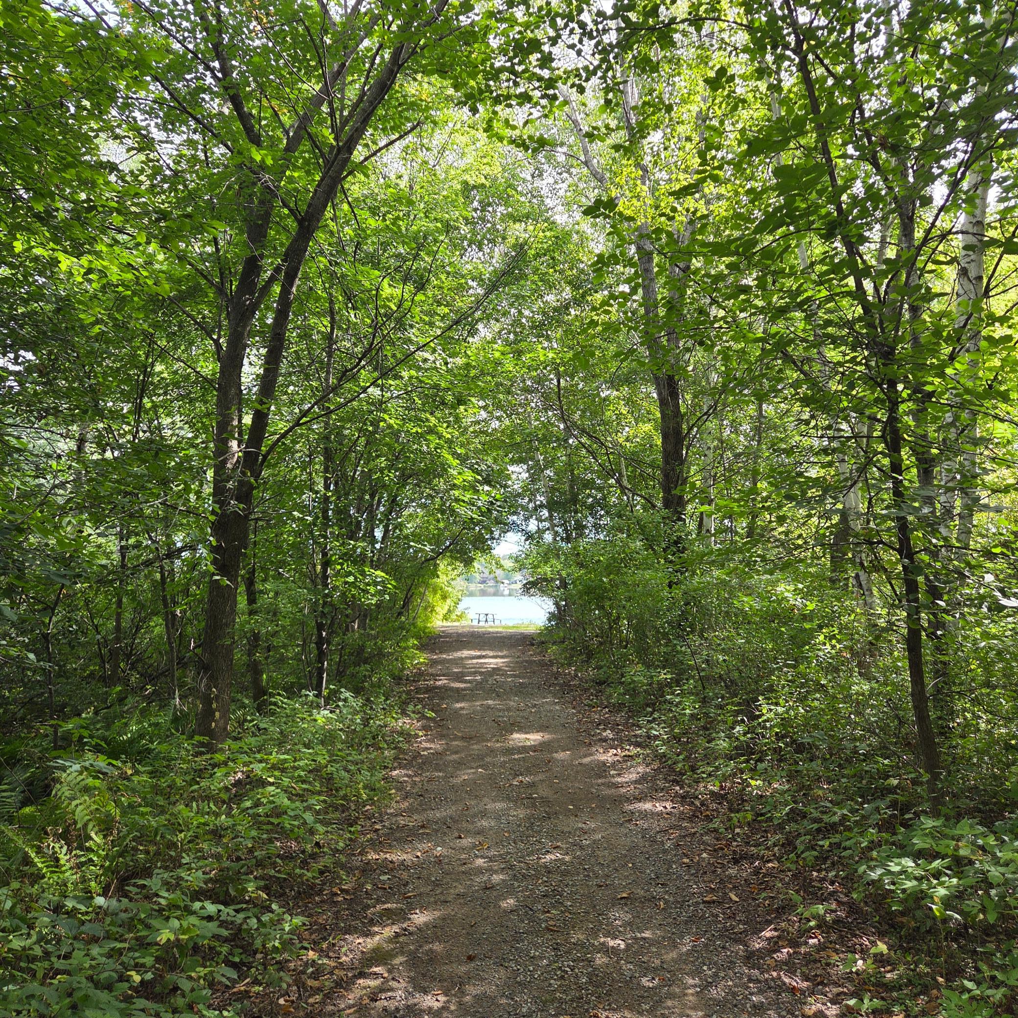 View of Residential at 27166 Bayshore Circle, Isanti MN 55040, Isanti (8 of 81) - Mike Wilen | Minnesota Team Real Estate
