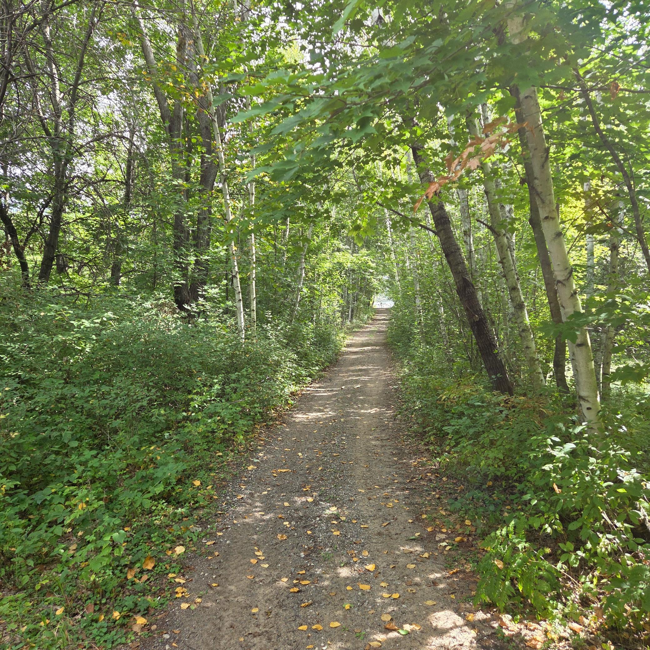 View of Residential at 27166 Bayshore Circle, Isanti MN 55040, Isanti (75 of 81) - Mike Wilen | Minnesota Team Real Estate