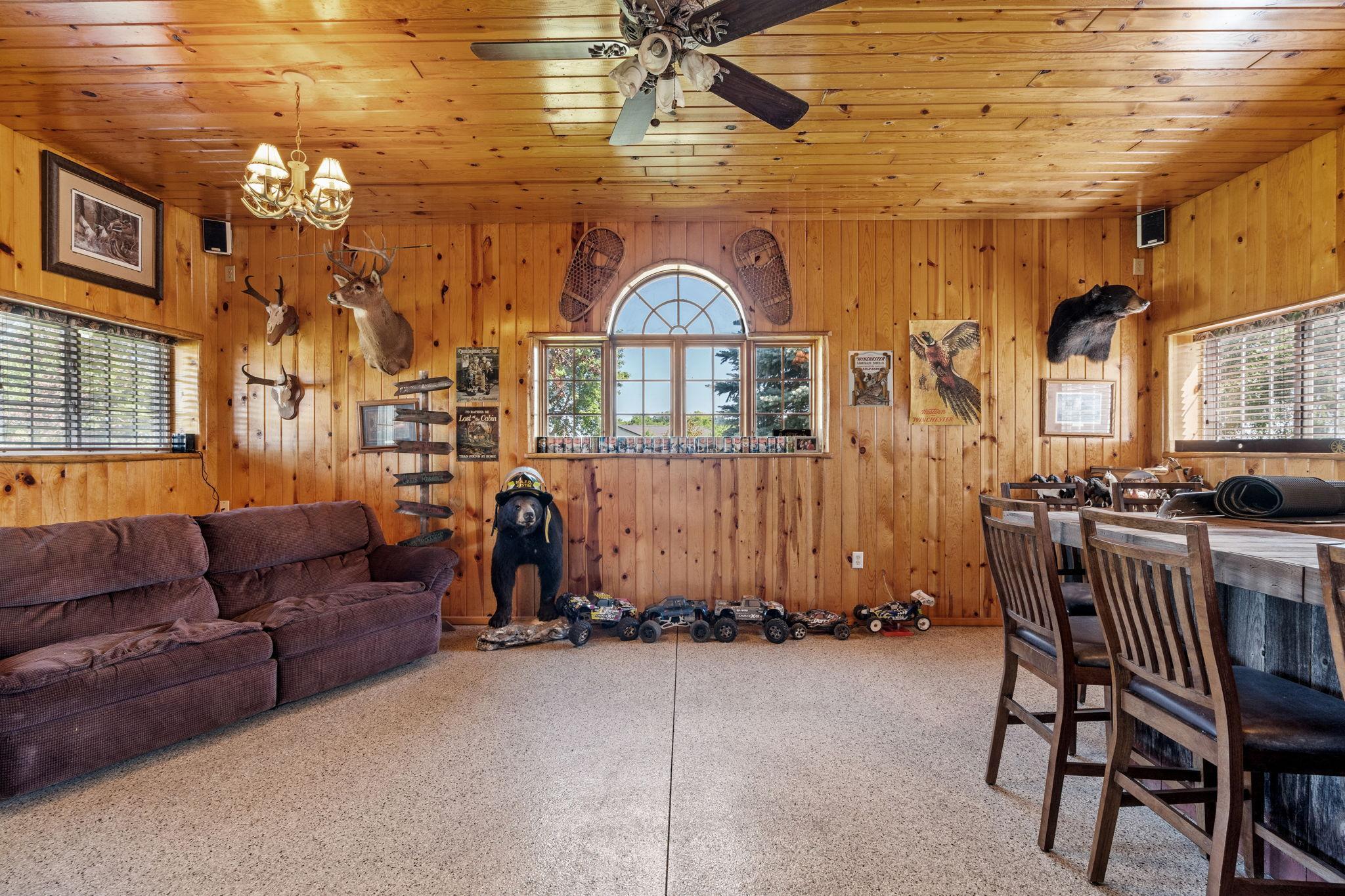 View of Residential at 46445 250th Street, Gaylord MN 55334, Gaylord (39 of 59) - Mike Wilen | Minnesota Team Real Estate