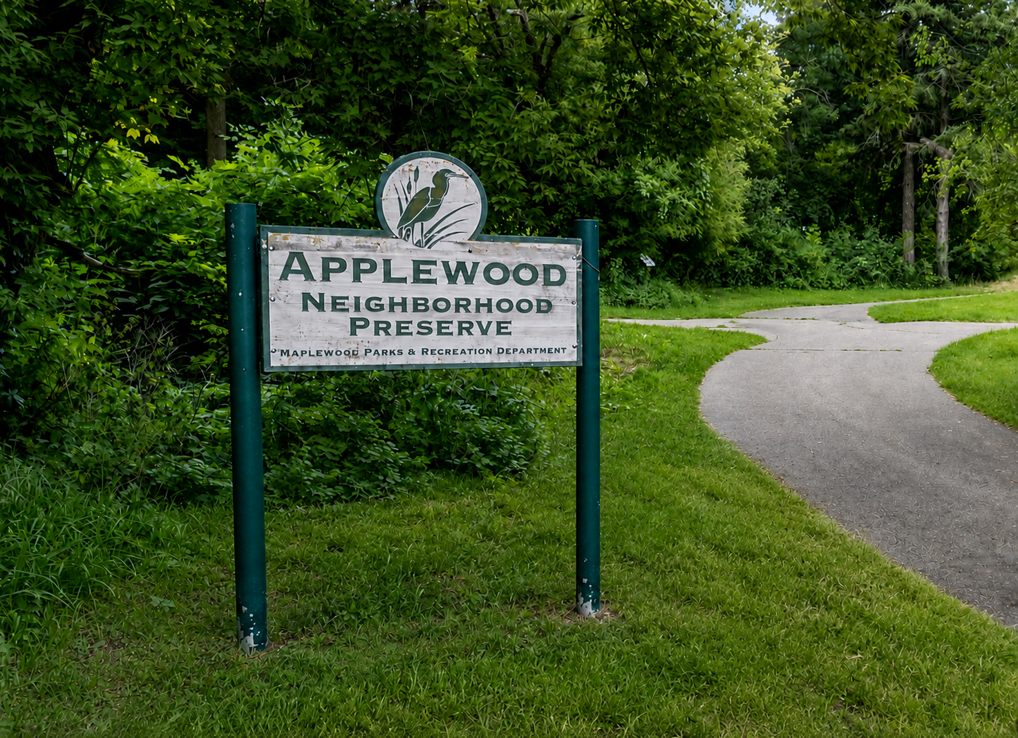 View of Residential at 842 Sterling Street, Maplewood MN 55119, Maplewood (53 of 60) - Mike Wilen | Minnesota Team Real Estate