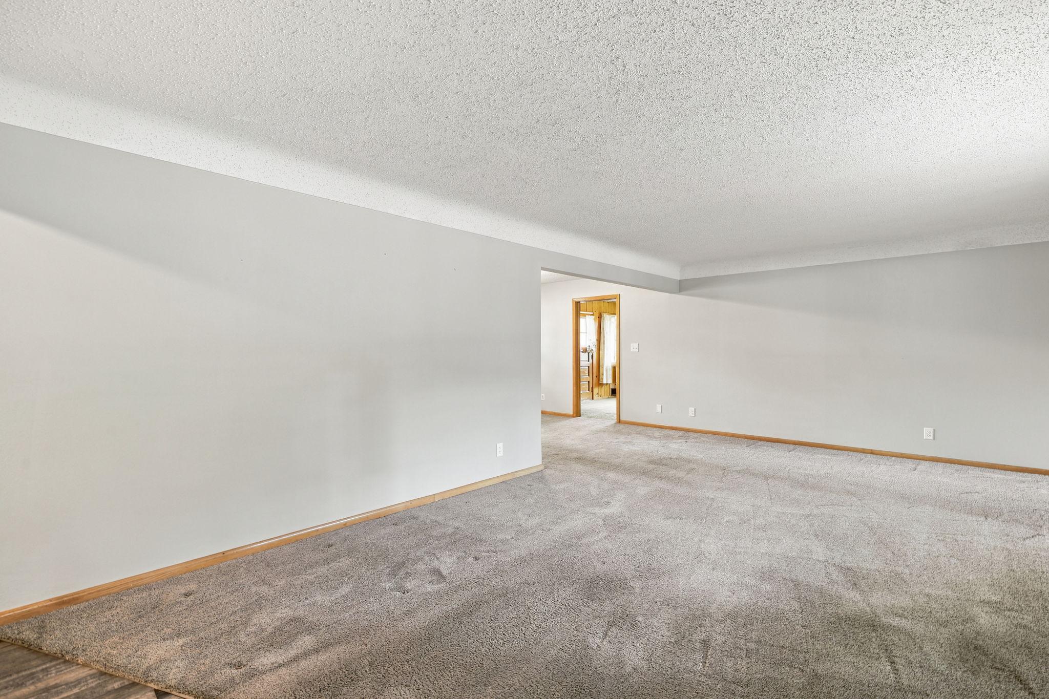 View of Residential at 319 Maple Avenue, Maple Lake MN 55358, Maple Lake (12 of 68) - Mike Wilen | Minnesota Team Real Estate