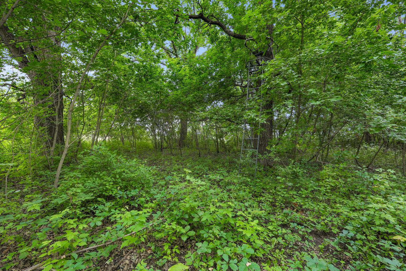 View of Land at TBD 350th Street, Shafer MN 55074, Shafer (8 of 16) - Mike Wilen | Minnesota Team Real Estate