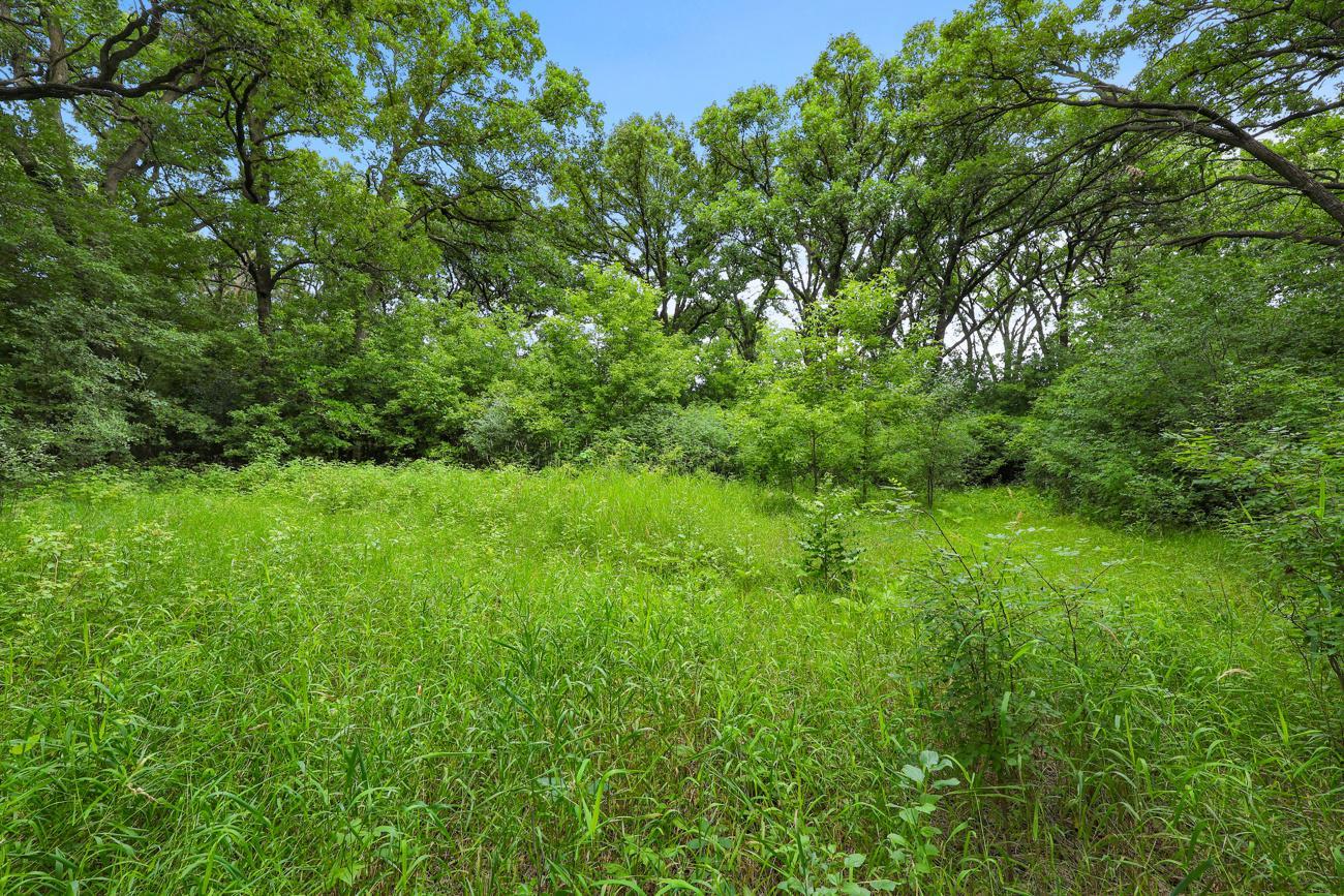 View of Land at TBD 350th Street, Shafer MN 55074, Shafer (7 of 16) - Mike Wilen | Minnesota Team Real Estate