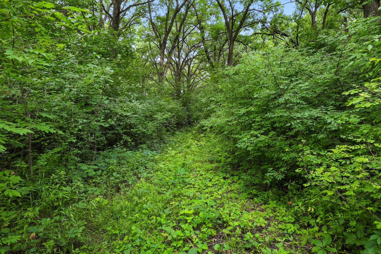 View of Land at TBD 350th Street, Shafer MN 55074, Shafer (6 of 16) - Mike Wilen | Minnesota Team Real Estate