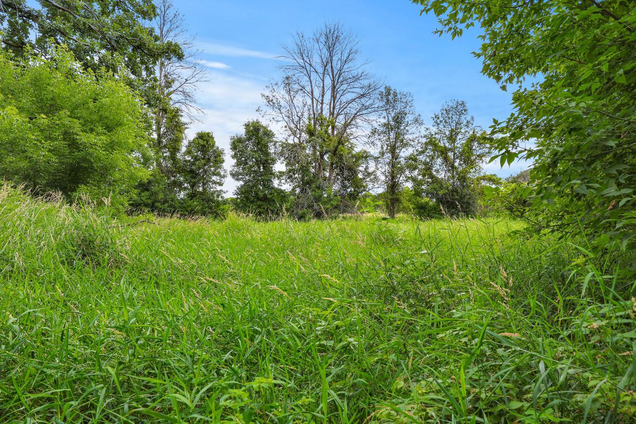 View of Land at TBD 350th Street, Shafer MN 55074, Shafer (5 of 16) - Mike Wilen | Minnesota Team Real Estate