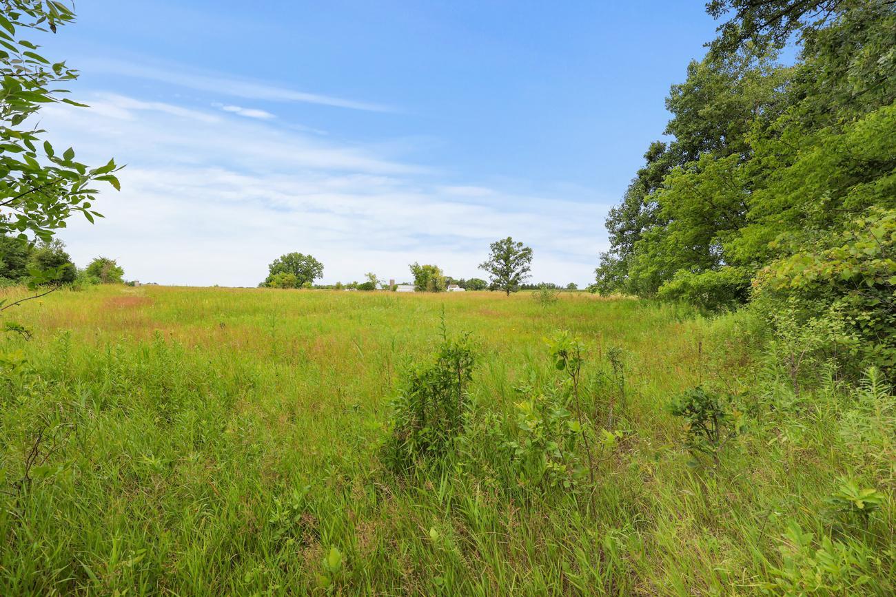 View of Land at TBD 350th Street, Shafer MN 55074, Shafer (3 of 16) - Mike Wilen | Minnesota Team Real Estate