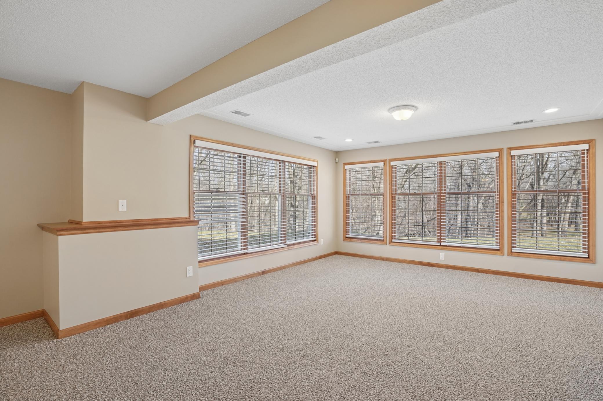 View of Residential at 8781 Royal Court, Anoka MN 55303, Anoka (58 of 91) - Mike Wilen | Minnesota Team Real Estate