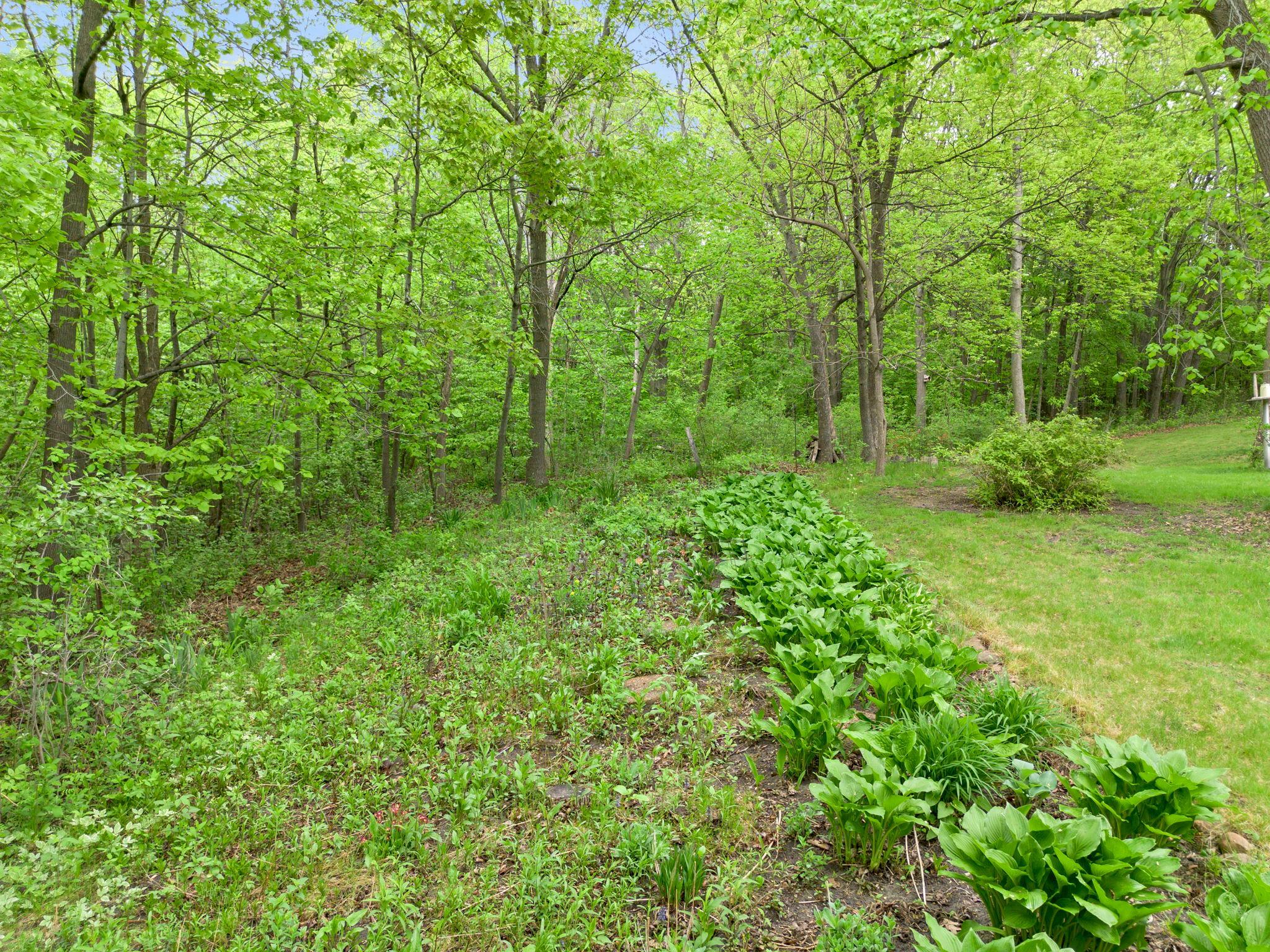 View of Residential at 7636 Aladdin Avenue, Buffalo MN 55313, Buffalo (73 of 94) - Mike Wilen | Minnesota Team Real Estate