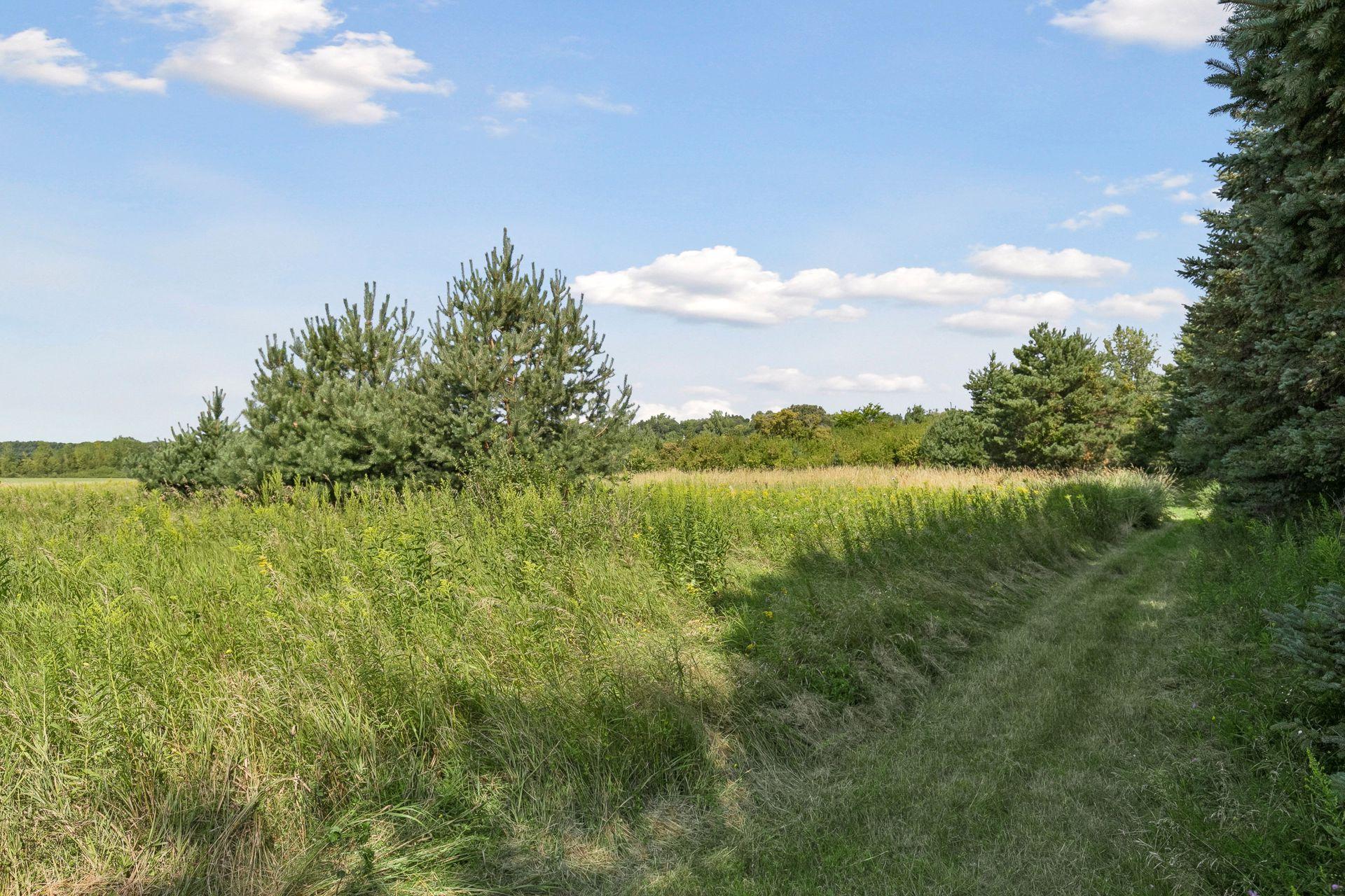 View of Residential at 7555 120th Street, Grant MN 55038, Grant (50 of 53) - Mike Wilen | Minnesota Team Real Estate