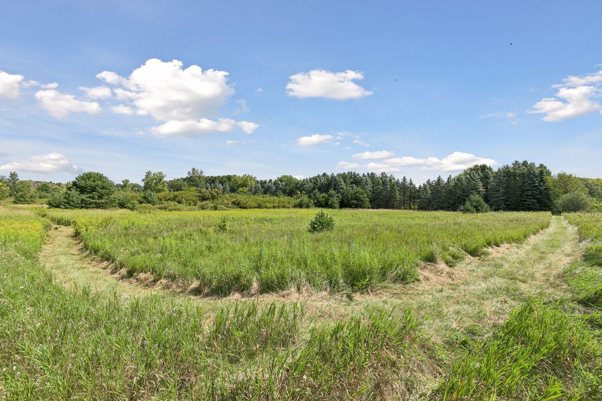 View of Residential at 7555 120th Street, Grant MN 55038, Grant (49 of 53) - Mike Wilen | Minnesota Team Real Estate