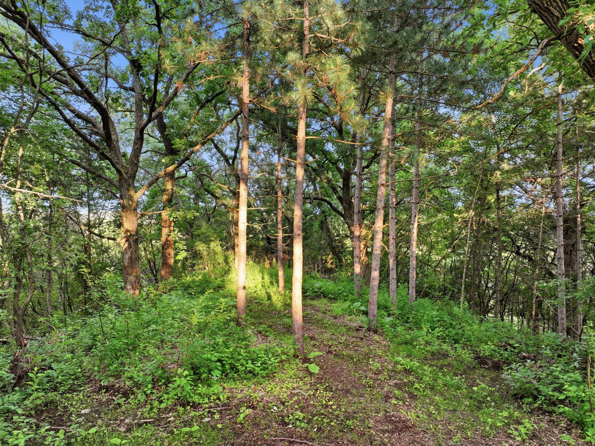 View of Residential at 10761 Penfield Avenue Court, Stillwater MN 55082, Stillwater (69 of 82) - Mike Wilen | Minnesota Team Real Estate