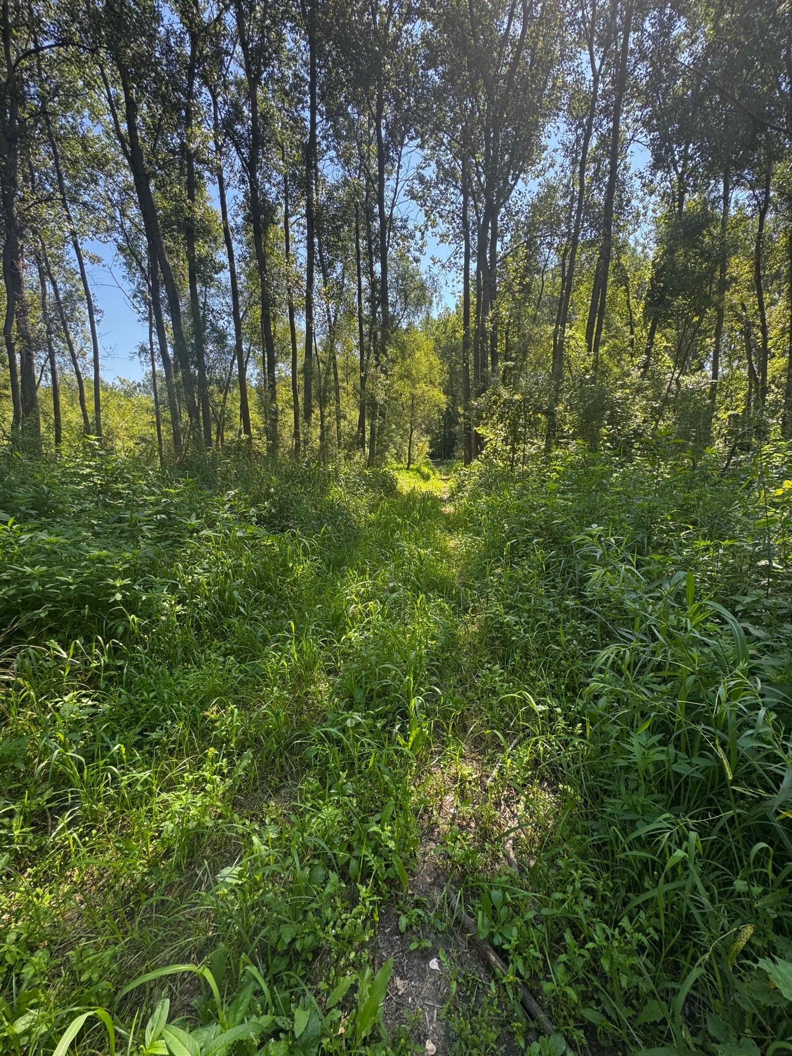 View of Land at TBD US HWY 169, Le Sueur MN 56058, Le Sueur (38 of 44) - Mike Wilen | Minnesota Team Real Estate