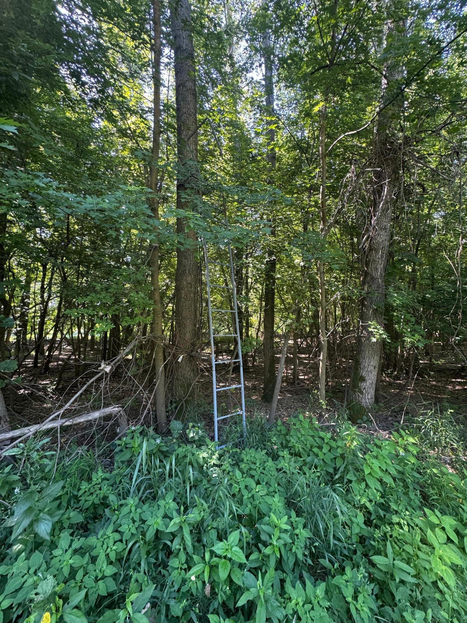 View of Land at TBD US HWY 169, Le Sueur MN 56058, Le Sueur (36 of 44) - Mike Wilen | Minnesota Team Real Estate