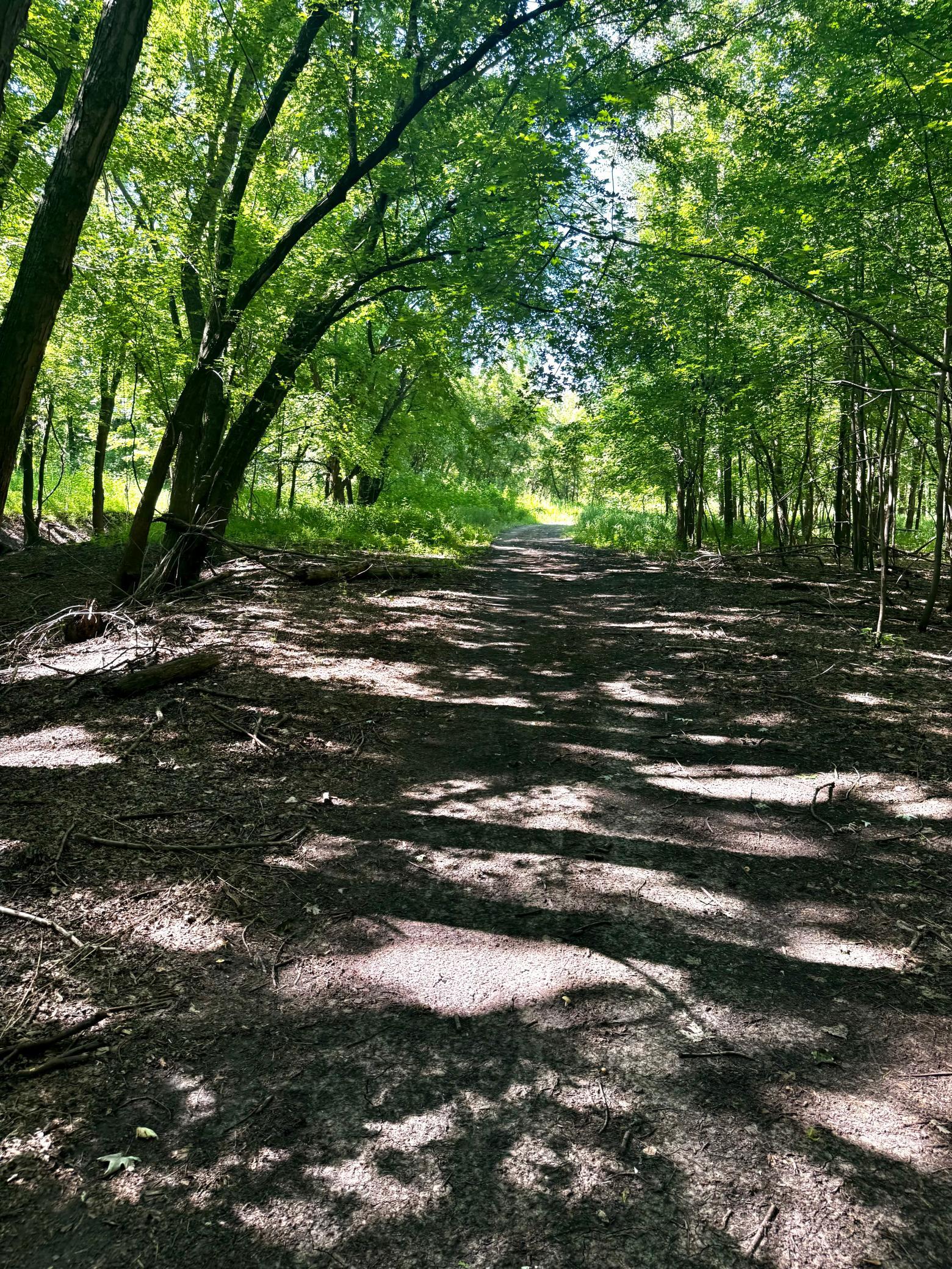 View of Land at TBD US HWY 169, Le Sueur MN 56058, Le Sueur (35 of 44) - Mike Wilen | Minnesota Team Real Estate