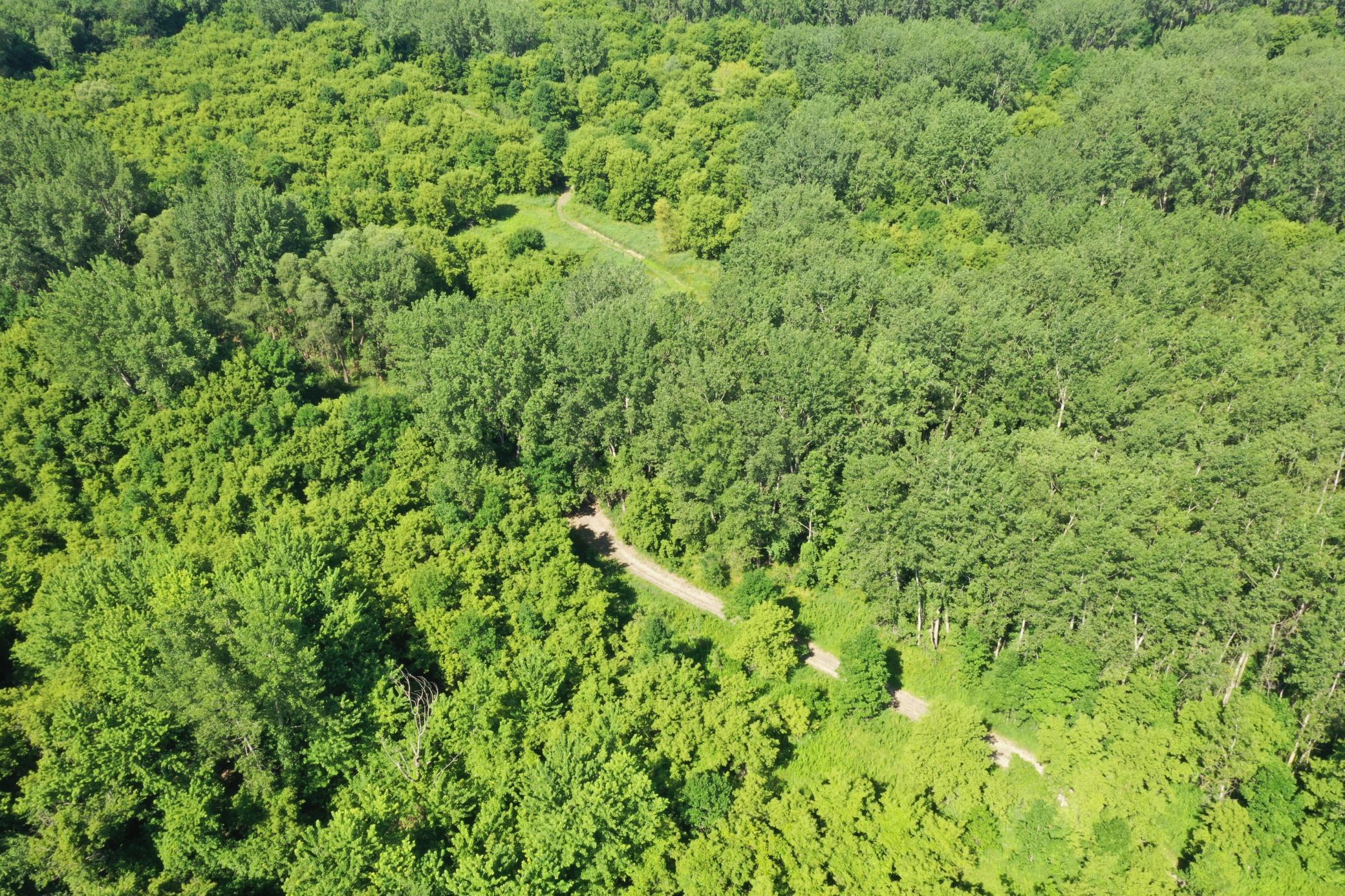 View of Land at TBD US HWY 169, Le Sueur MN 56058, Le Sueur (34 of 44) - Mike Wilen | Minnesota Team Real Estate