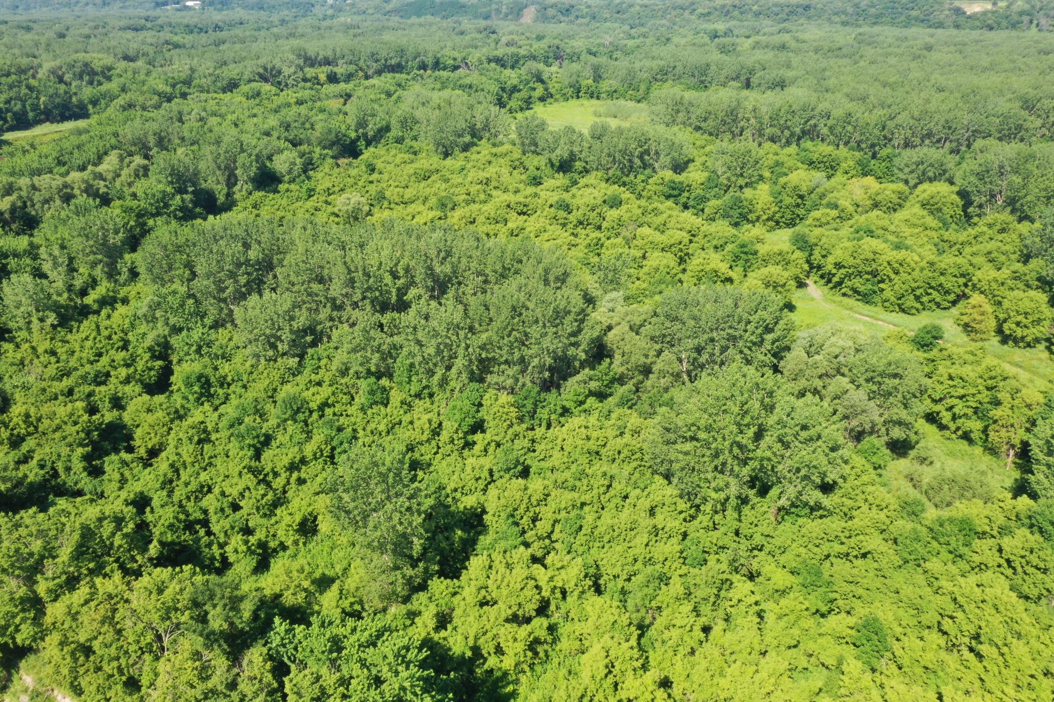 View of Land at TBD US HWY 169, Le Sueur MN 56058, Le Sueur (33 of 44) - Mike Wilen | Minnesota Team Real Estate
