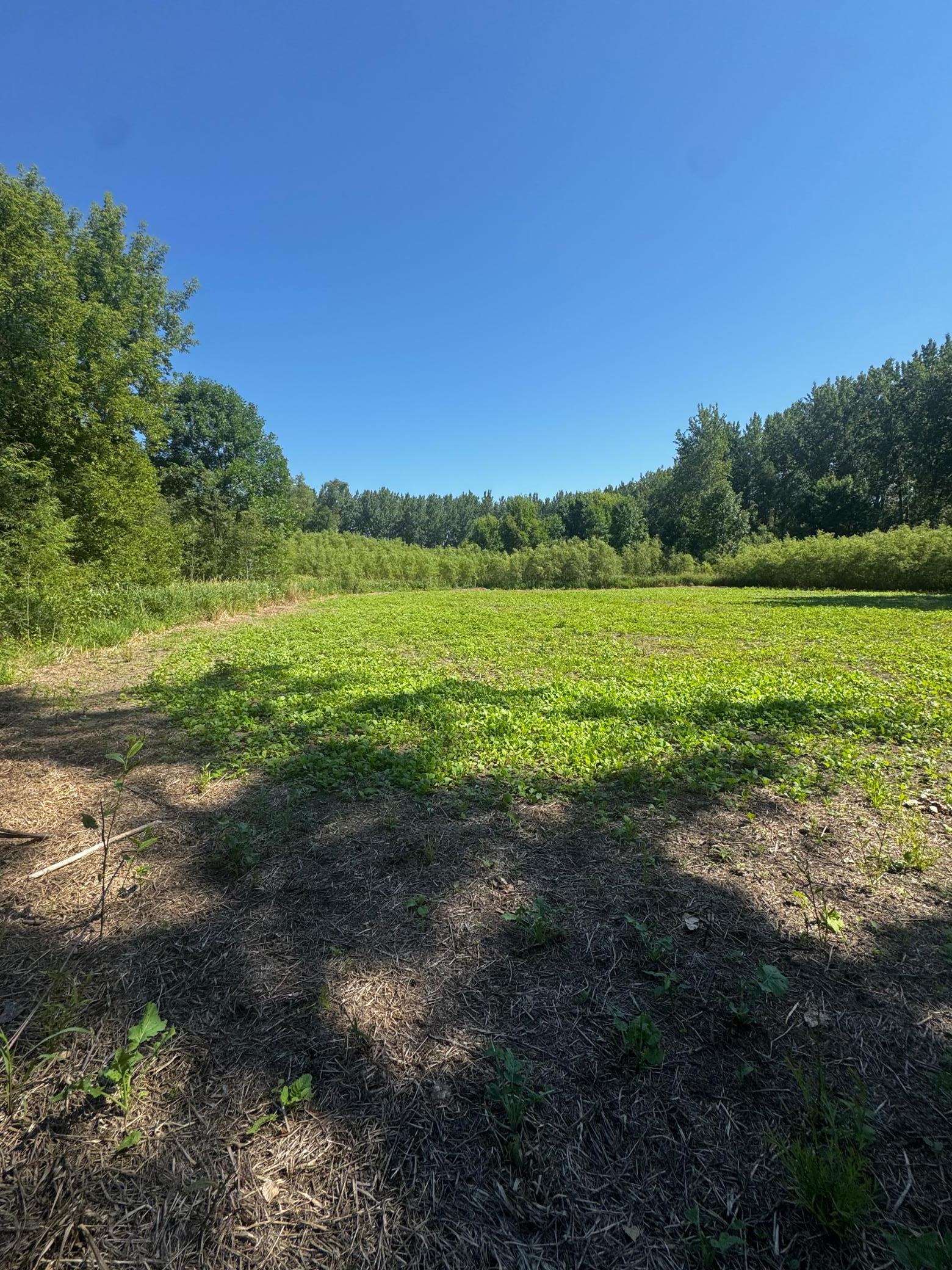 View of Land at TBD US HWY 169, Le Sueur MN 56058, Le Sueur (30 of 44) - Mike Wilen | Minnesota Team Real Estate