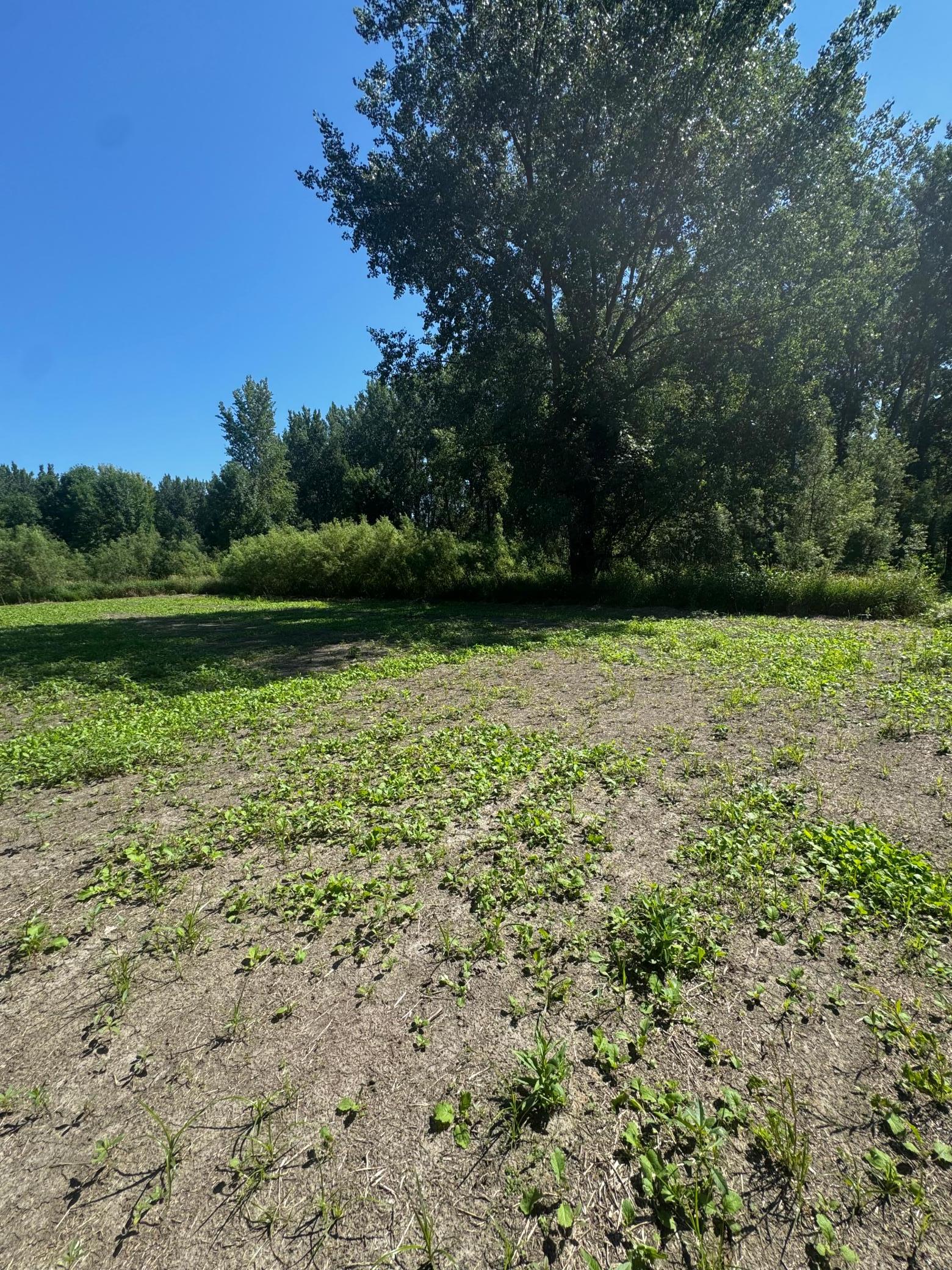 View of Land at TBD US HWY 169, Le Sueur MN 56058, Le Sueur (29 of 44) - Mike Wilen | Minnesota Team Real Estate