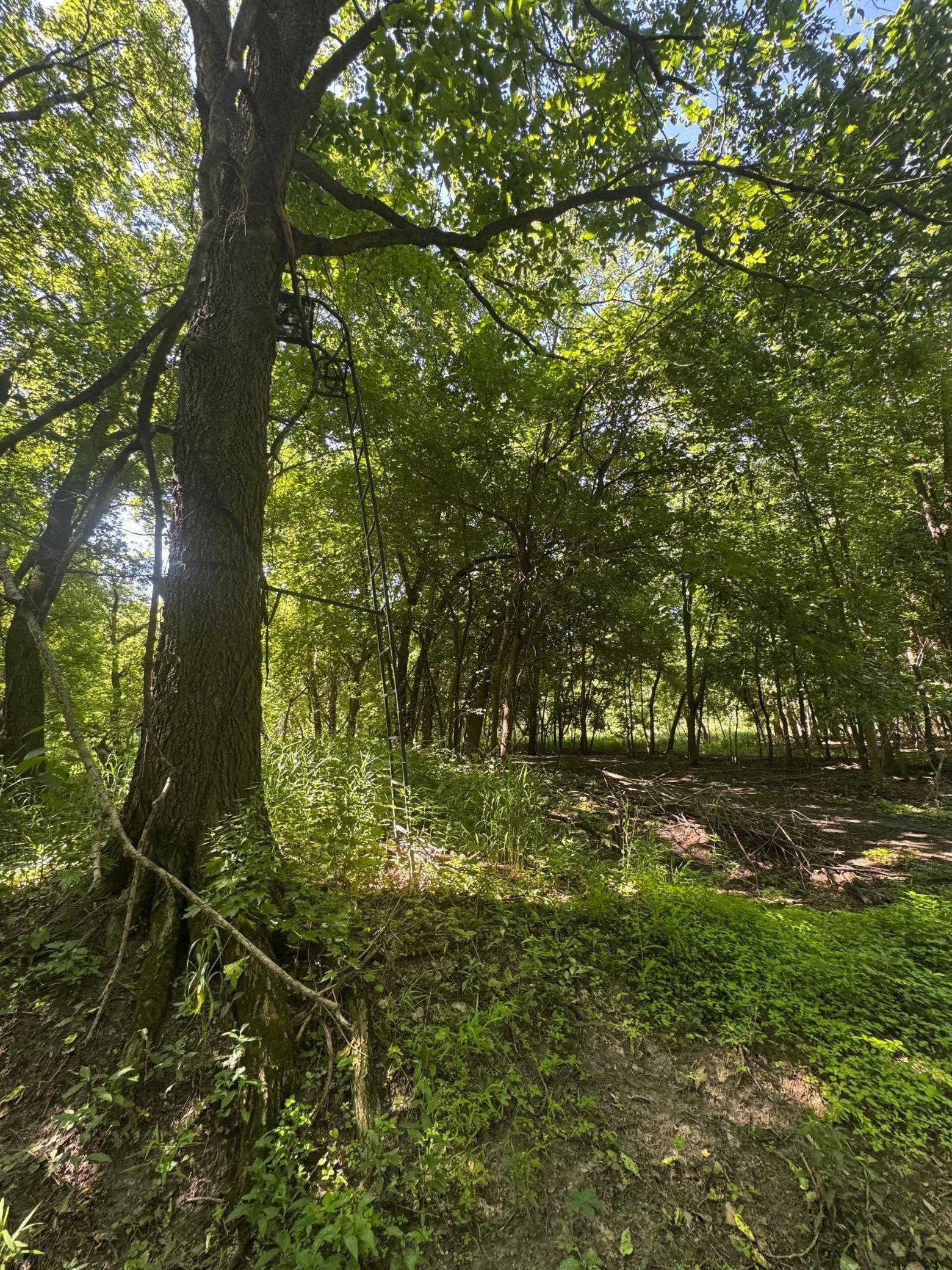View of Land at TBD US HWY 169, Le Sueur MN 56058, Le Sueur (27 of 44) - Mike Wilen | Minnesota Team Real Estate
