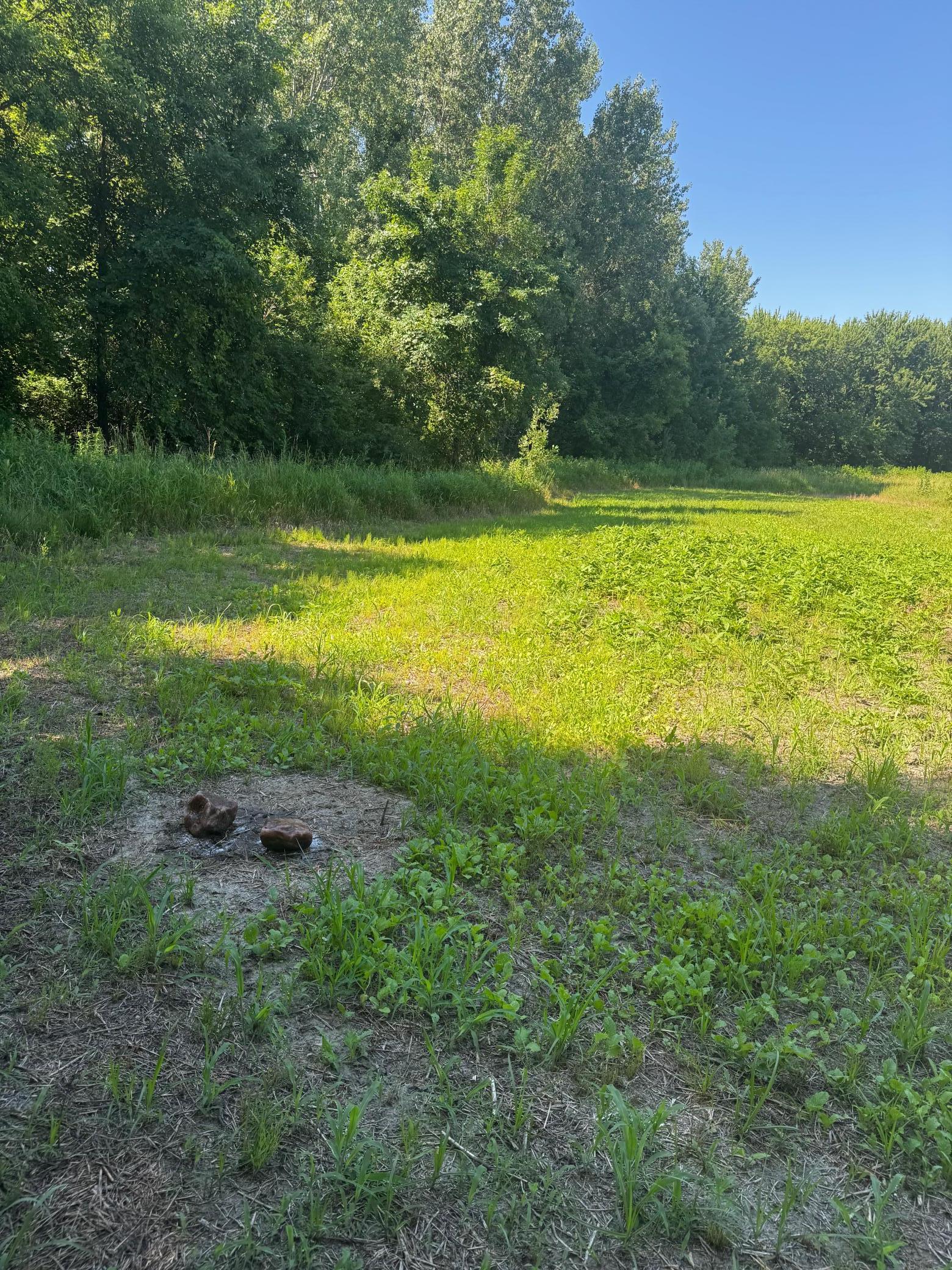 View of Land at TBD US HWY 169, Le Sueur MN 56058, Le Sueur (26 of 44) - Mike Wilen | Minnesota Team Real Estate