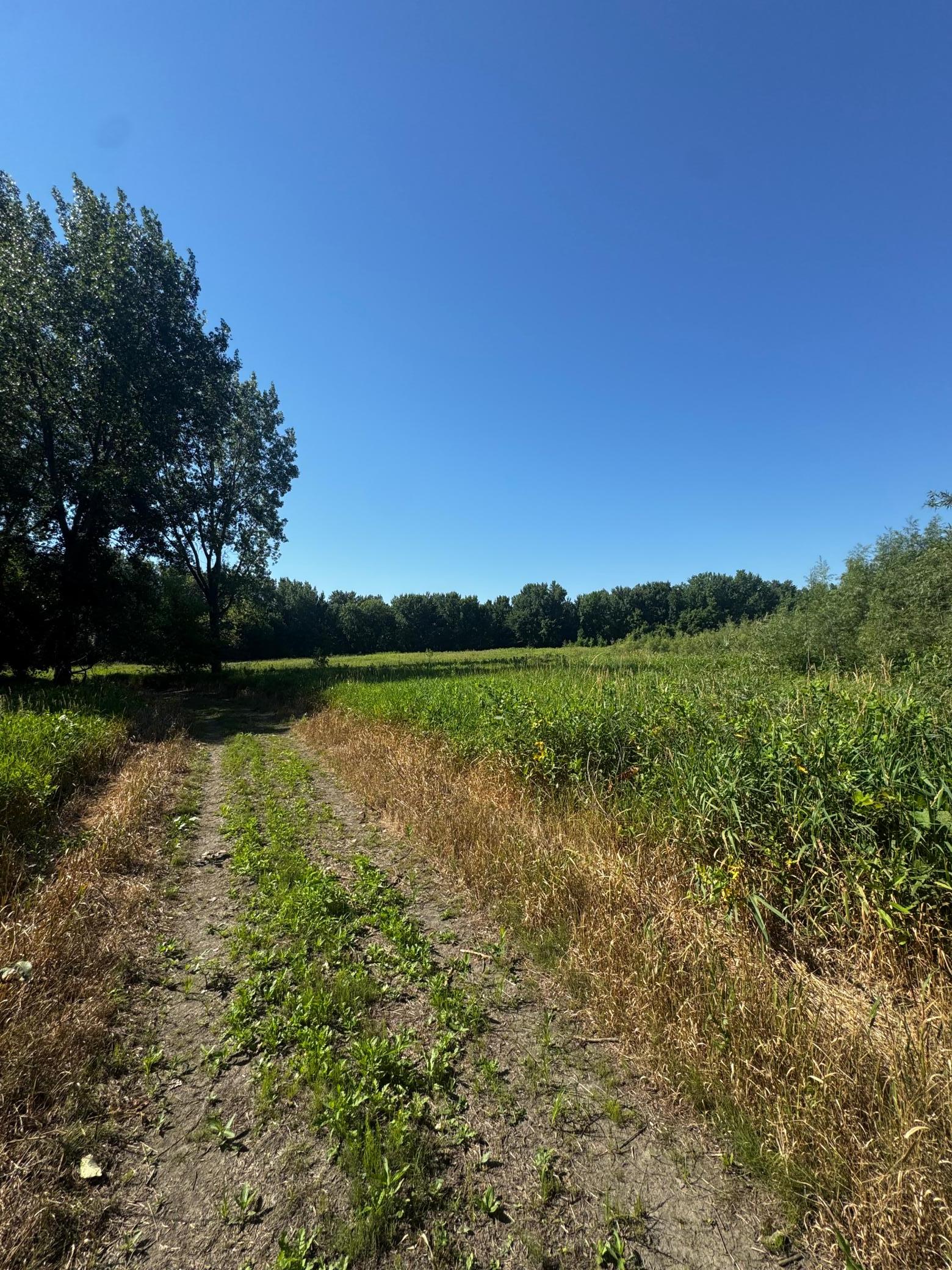 View of Land at TBD US HWY 169, Le Sueur MN 56058, Le Sueur (25 of 44) - Mike Wilen | Minnesota Team Real Estate