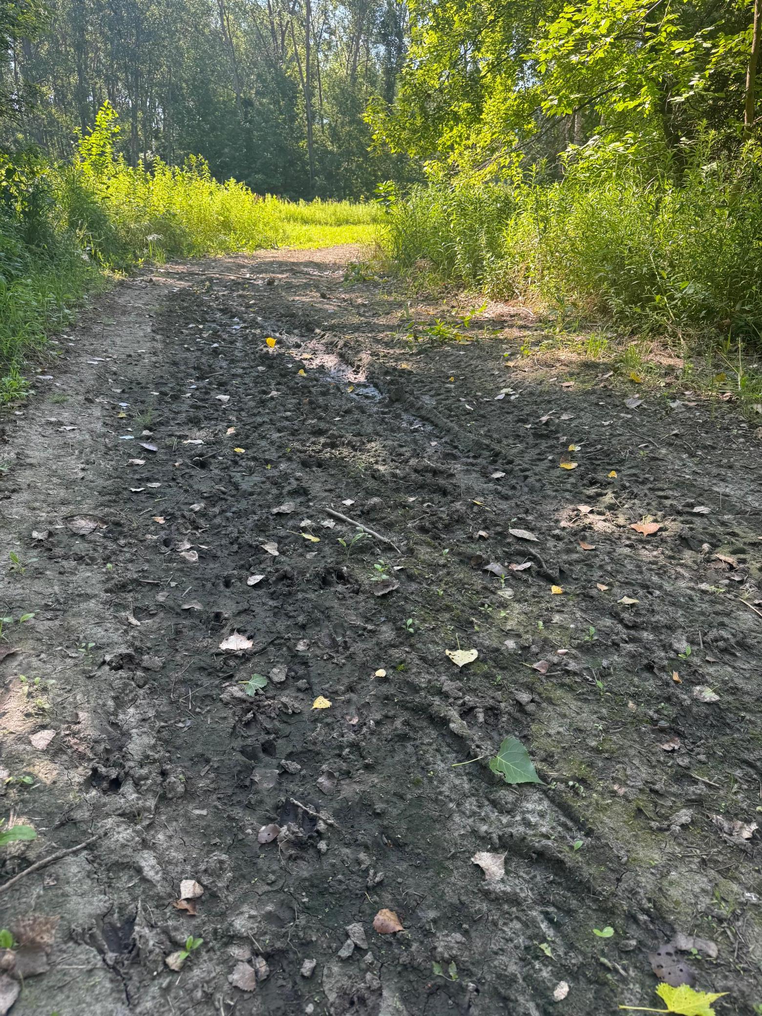 View of Land at TBD US HWY 169, Le Sueur MN 56058, Le Sueur (23 of 44) - Mike Wilen | Minnesota Team Real Estate