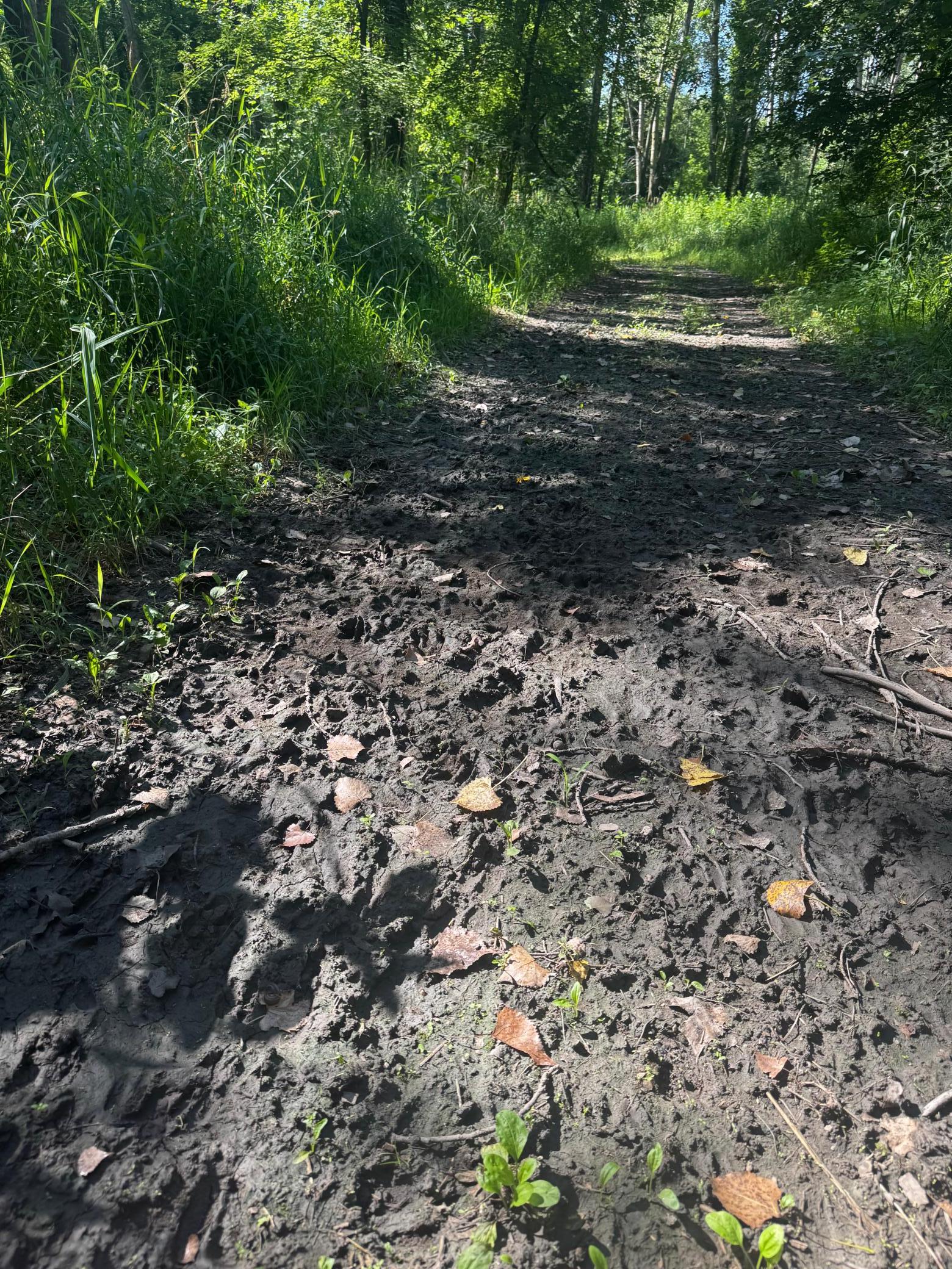 View of Land at TBD US HWY 169, Le Sueur MN 56058, Le Sueur (22 of 44) - Mike Wilen | Minnesota Team Real Estate