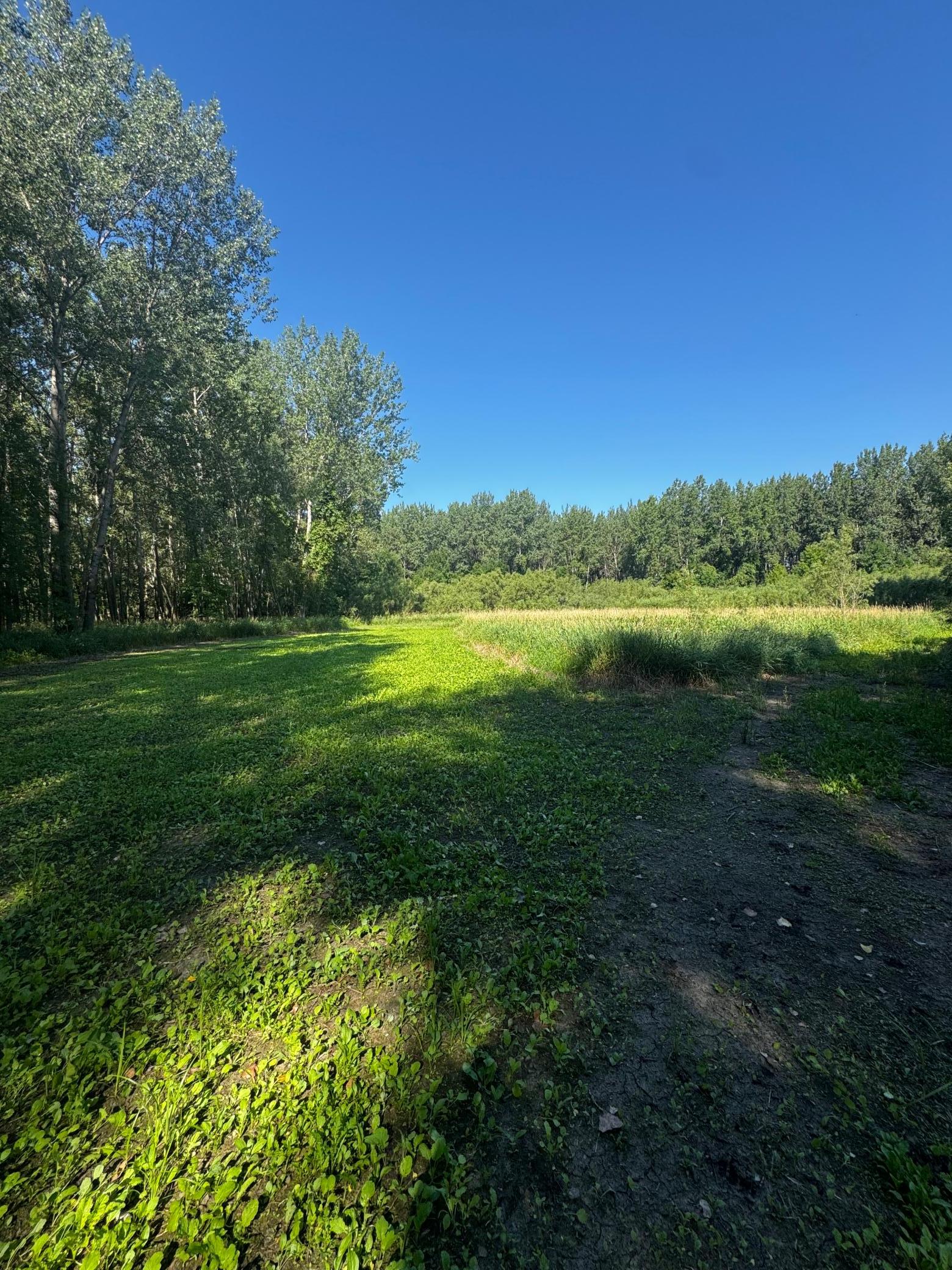 View of Land at TBD US HWY 169, Le Sueur MN 56058, Le Sueur (20 of 44) - Mike Wilen | Minnesota Team Real Estate