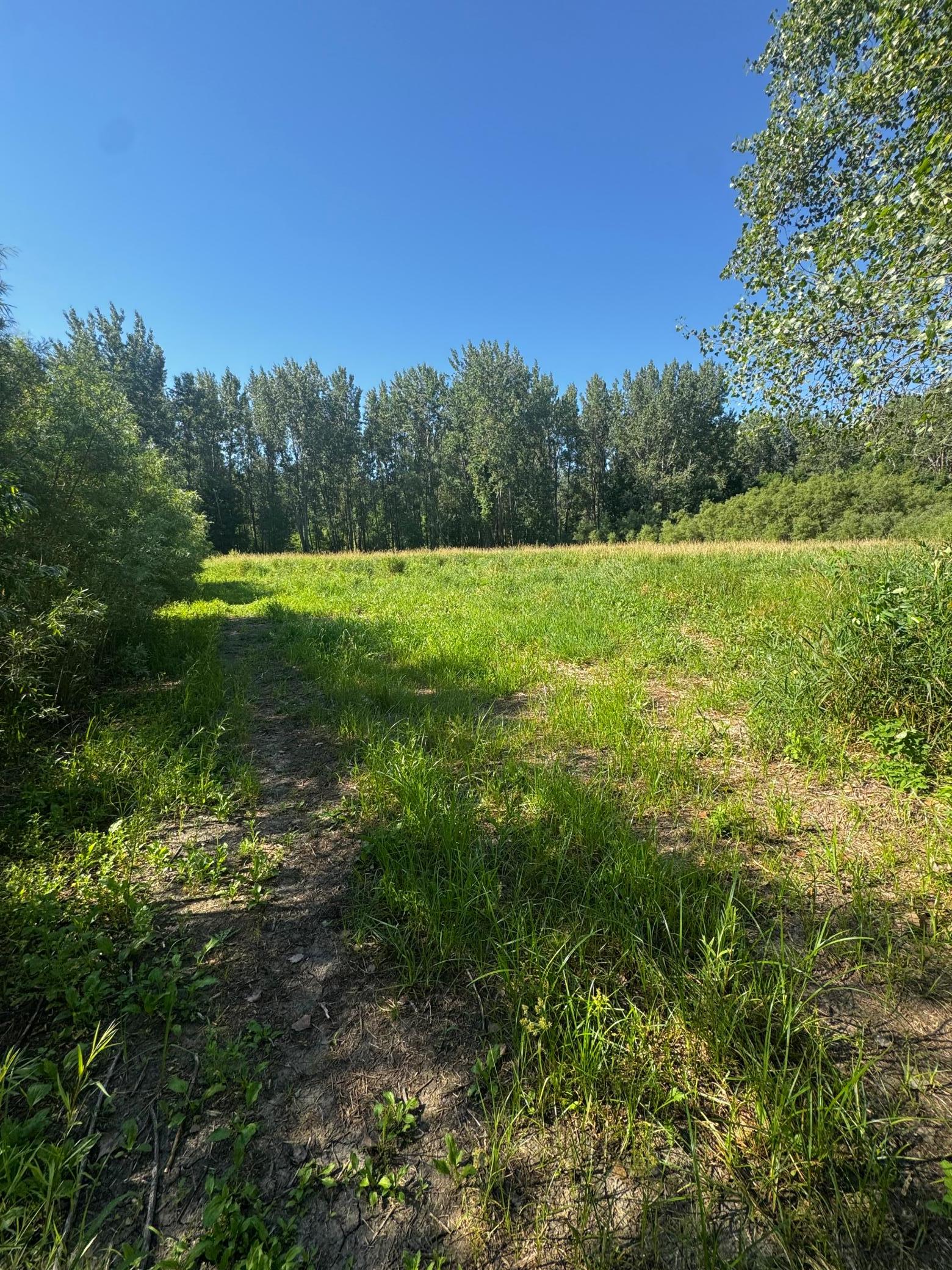 View of Land at TBD US HWY 169, Le Sueur MN 56058, Le Sueur (19 of 44) - Mike Wilen | Minnesota Team Real Estate