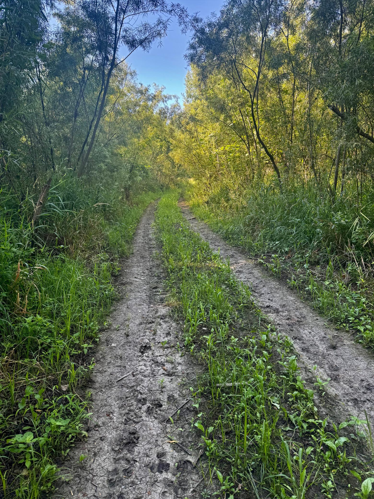 View of Land at TBD US HWY 169, Le Sueur MN 56058, Le Sueur (18 of 44) - Mike Wilen | Minnesota Team Real Estate