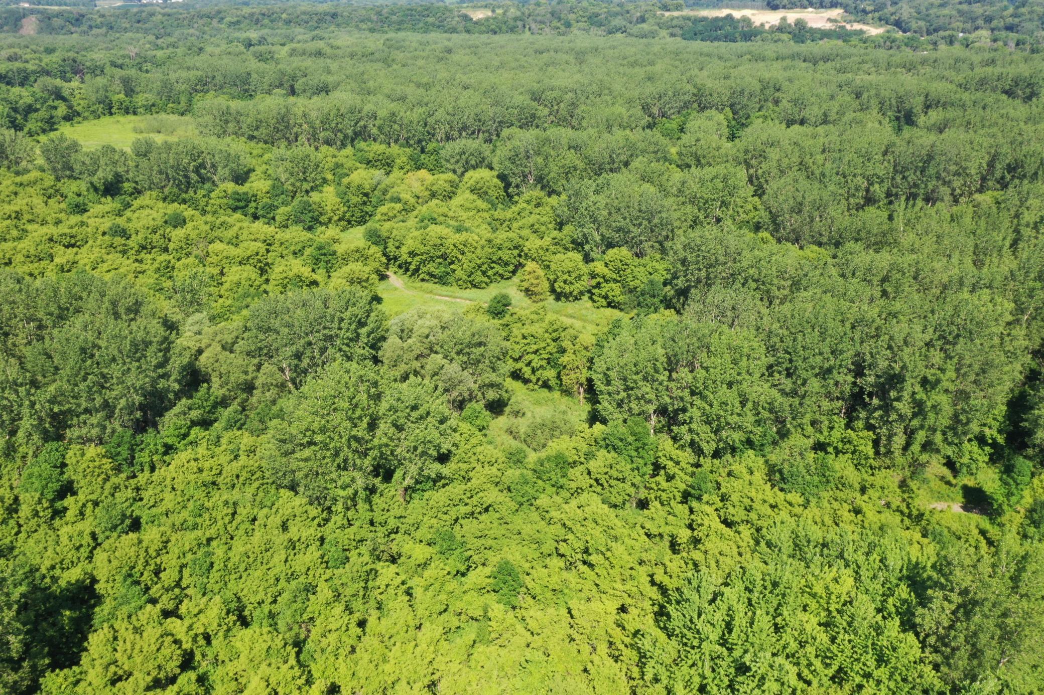 View of Land at TBD US HWY 169, Le Sueur MN 56058, Le Sueur (15 of 44) - Mike Wilen | Minnesota Team Real Estate