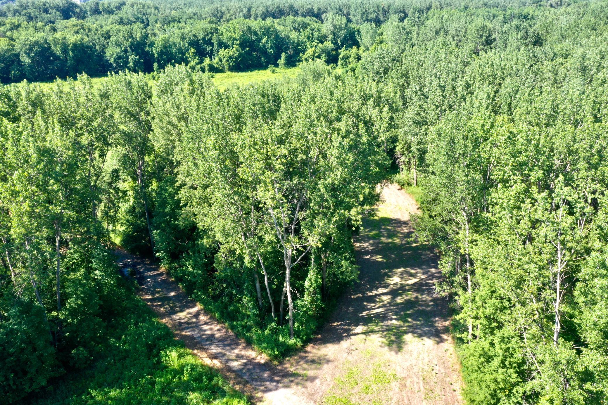 View of Land at TBD US HWY 169, Le Sueur MN 56058, Le Sueur (10 of 44) - Mike Wilen | Minnesota Team Real Estate