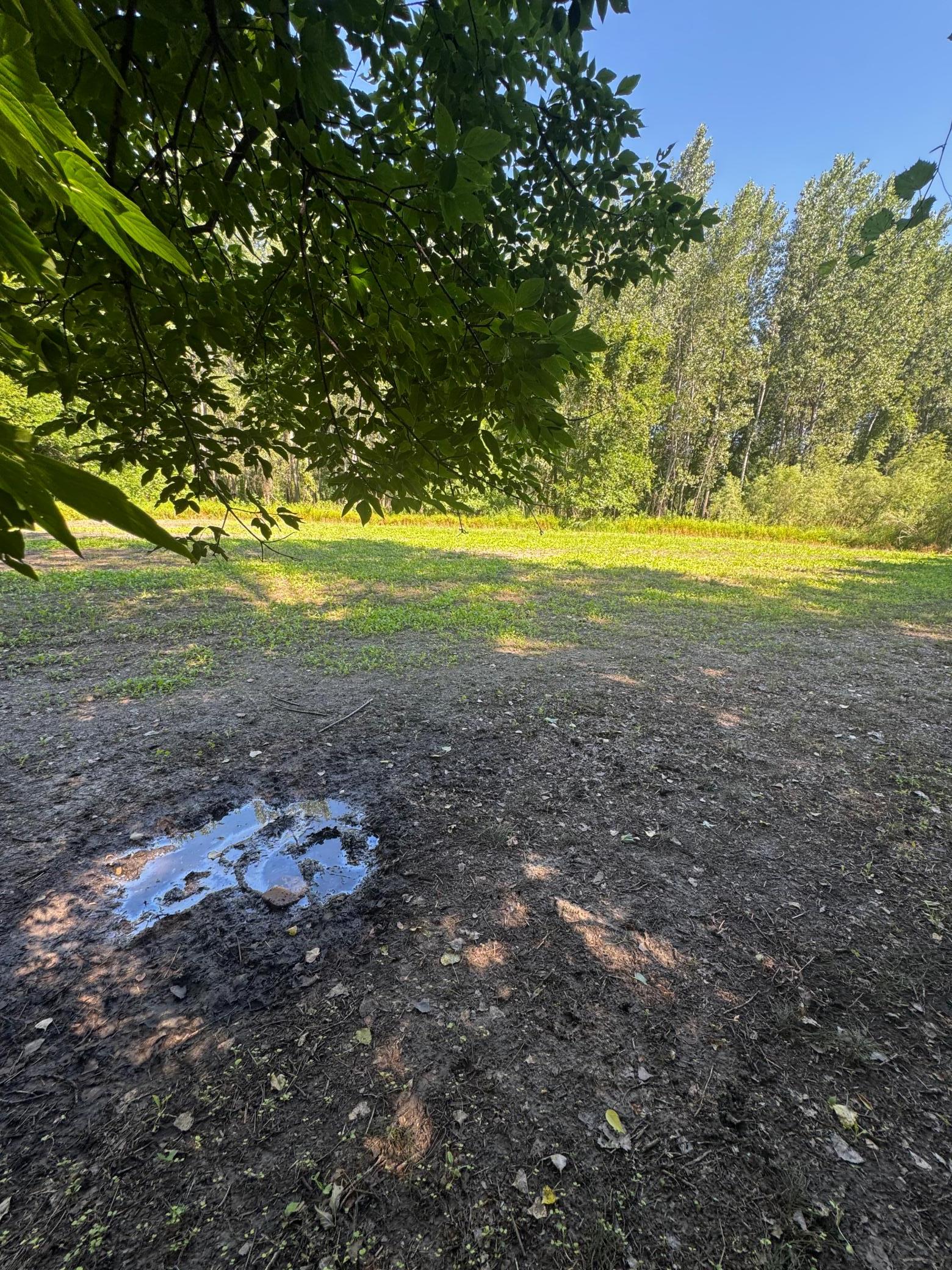 View of Land at TBD US HWY 169, Le Sueur MN 56058, Le Sueur (8 of 44) - Mike Wilen | Minnesota Team Real Estate