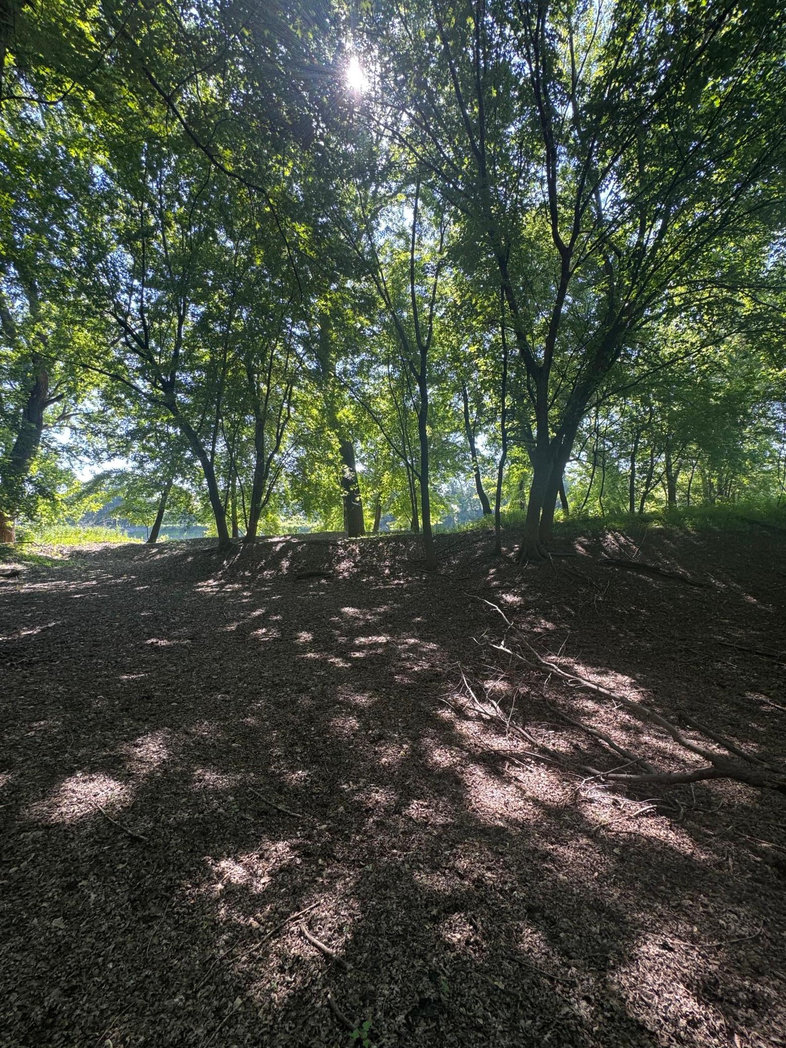 View of Land at TBD US HWY 169, Le Sueur MN 56058, Le Sueur (6 of 44) - Mike Wilen | Minnesota Team Real Estate