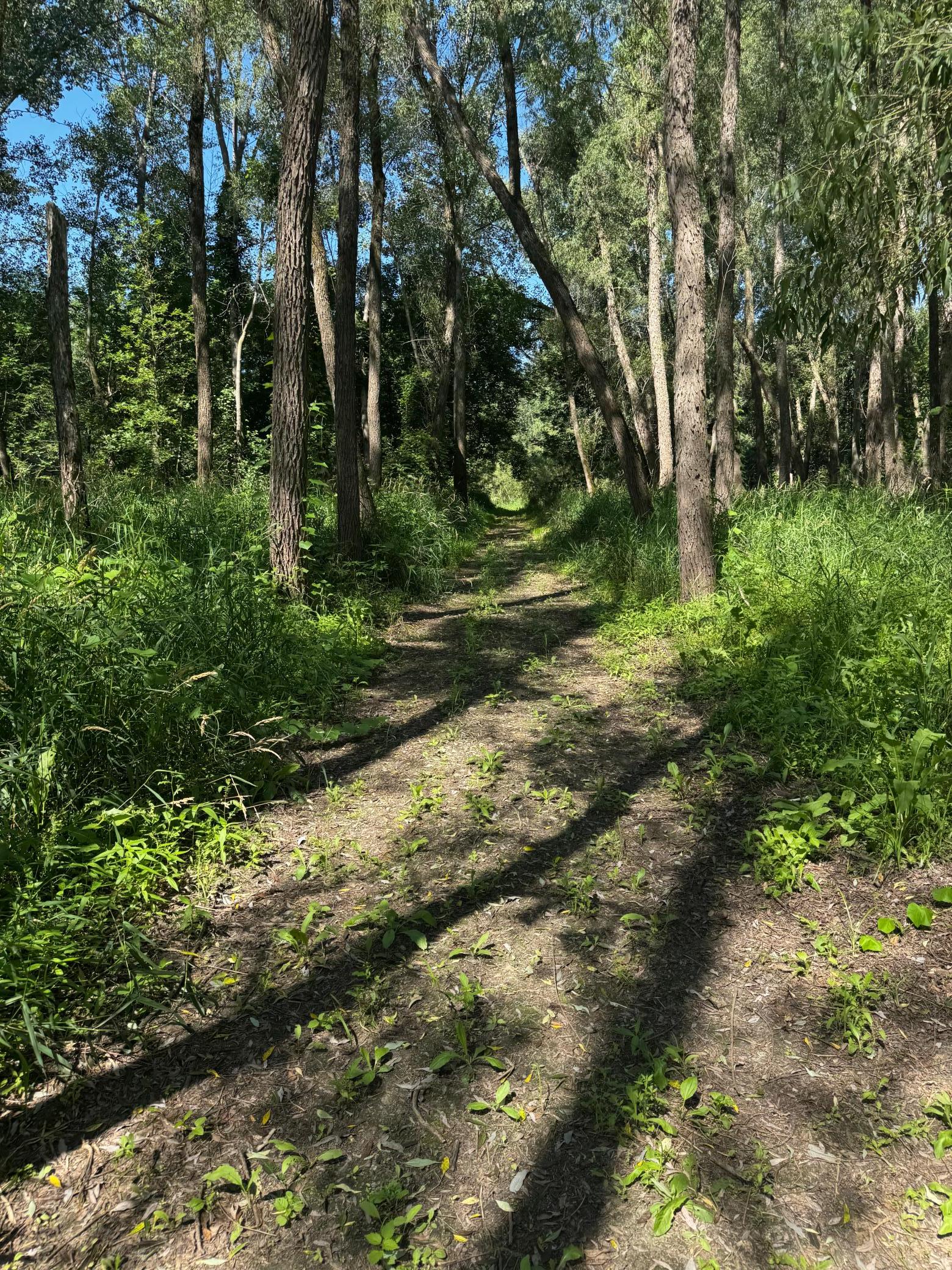View of Land at TBD US HWY 169, Le Sueur MN 56058, Le Sueur (4 of 44) - Mike Wilen | Minnesota Team Real Estate