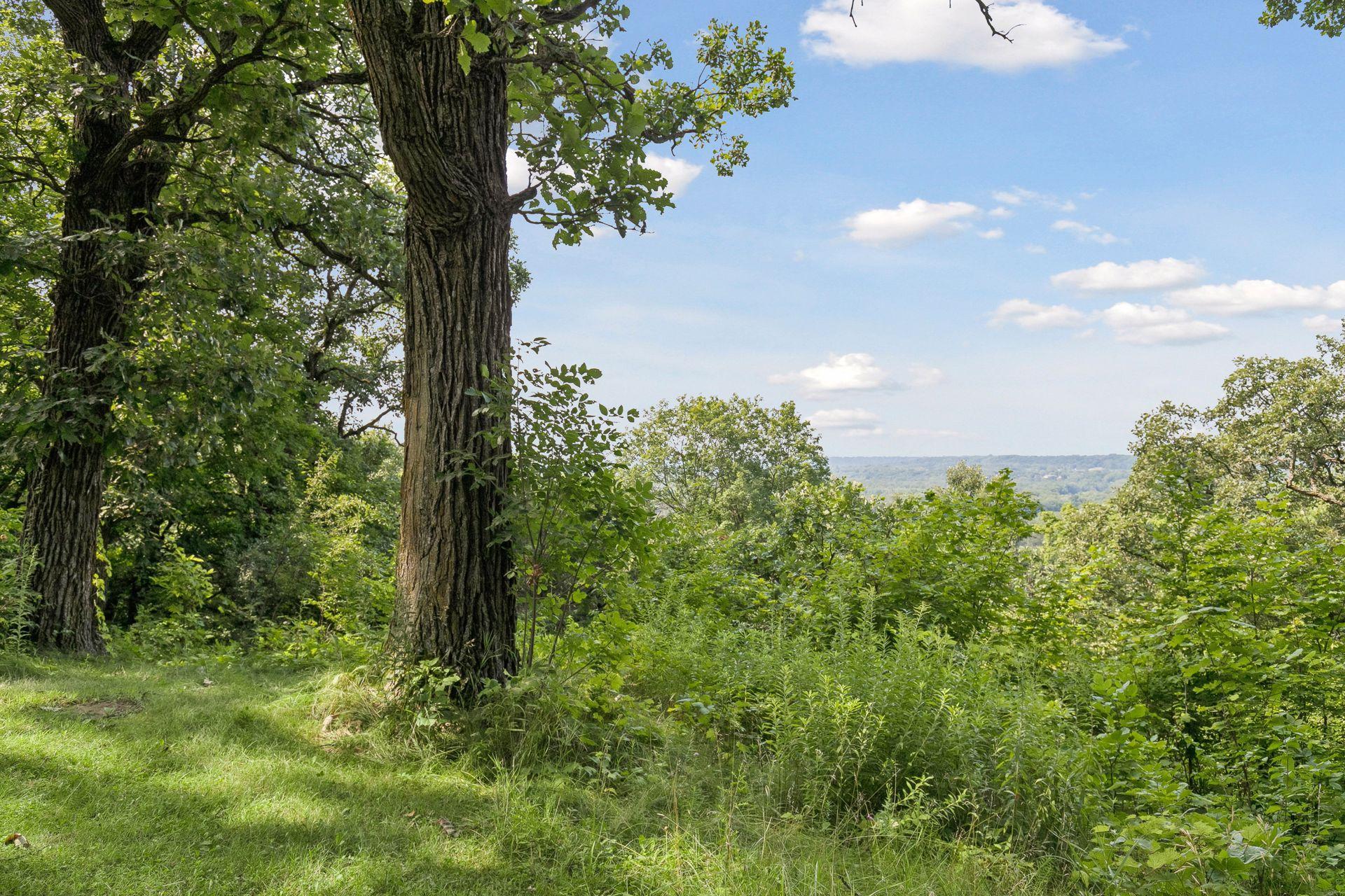 View of Residential at 212 6th Street, Henderson MN 56044, Henderson (84 of 120) - Mike Wilen | Minnesota Team Real Estate