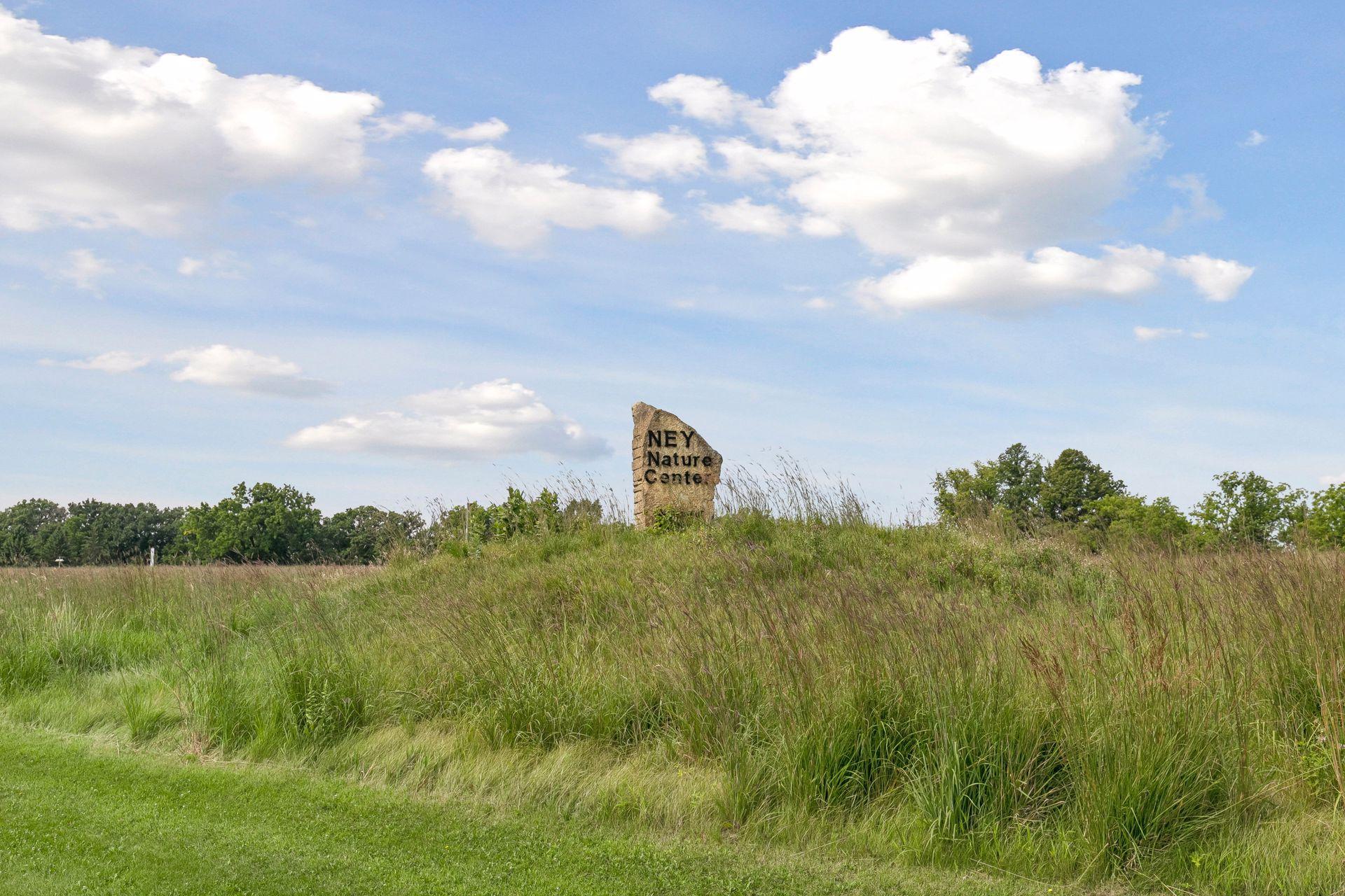 View of Residential at 212 6th Street, Henderson MN 56044, Henderson (81 of 120) - Mike Wilen | Minnesota Team Real Estate